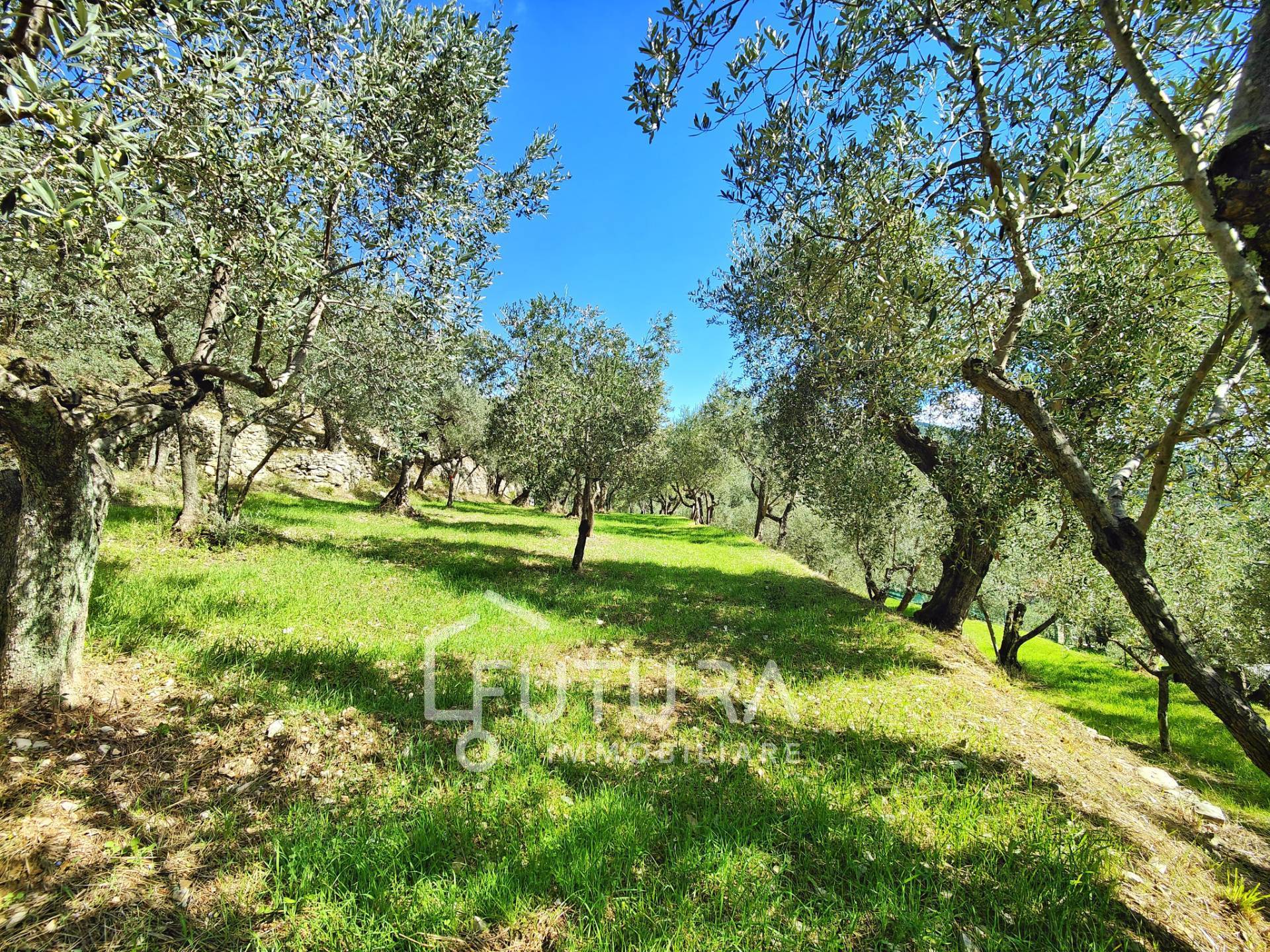 Terreno Agricolo in vendita a Sesto Fiorentino, Colonnata
