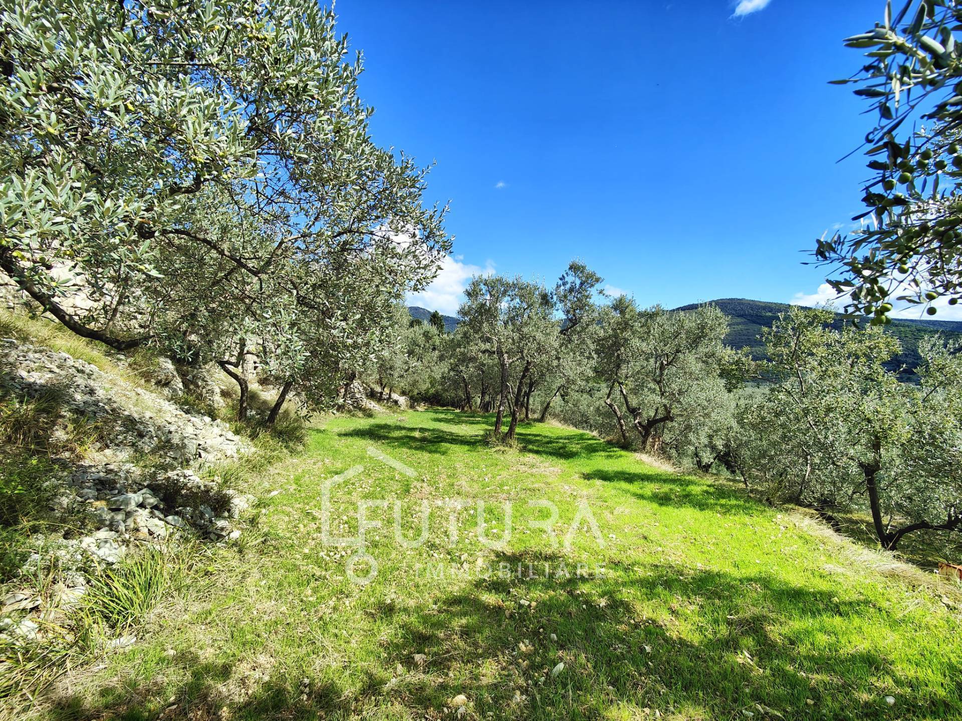 Terreno Agricolo in vendita a Sesto Fiorentino, Colonnata