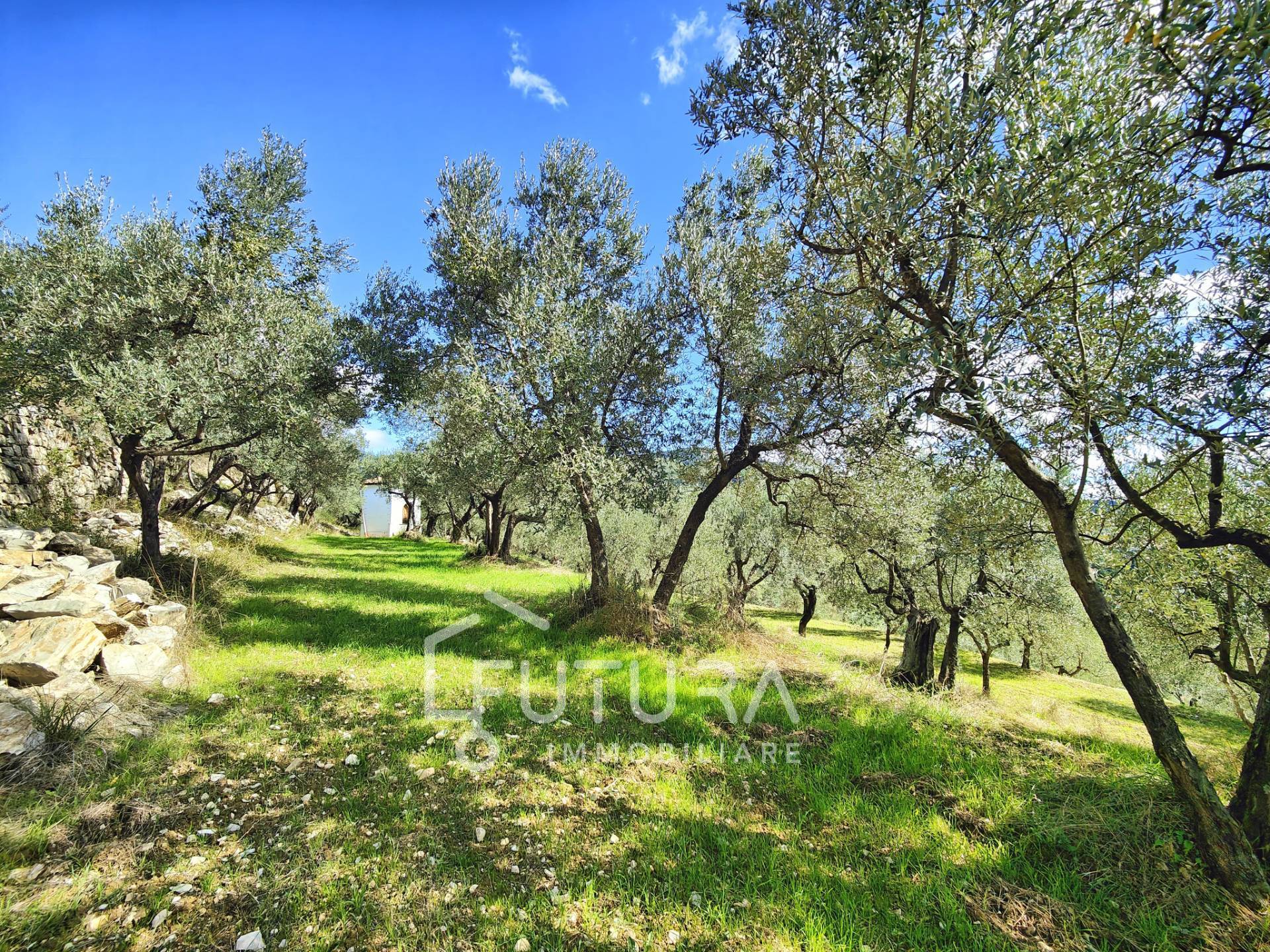 Terreno Agricolo in vendita a Sesto Fiorentino, Colonnata