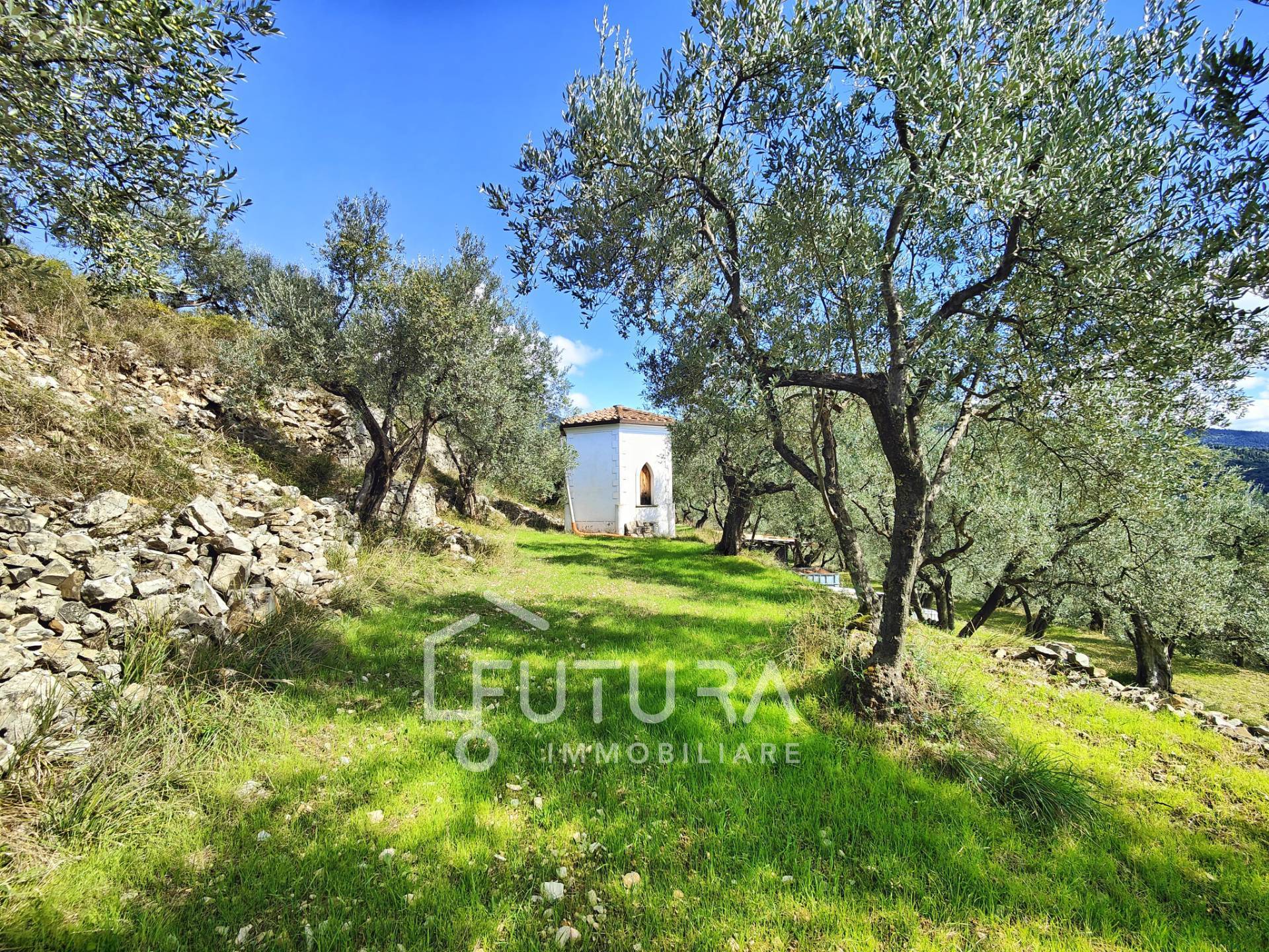 Terreno Agricolo in vendita a Sesto Fiorentino, Colonnata