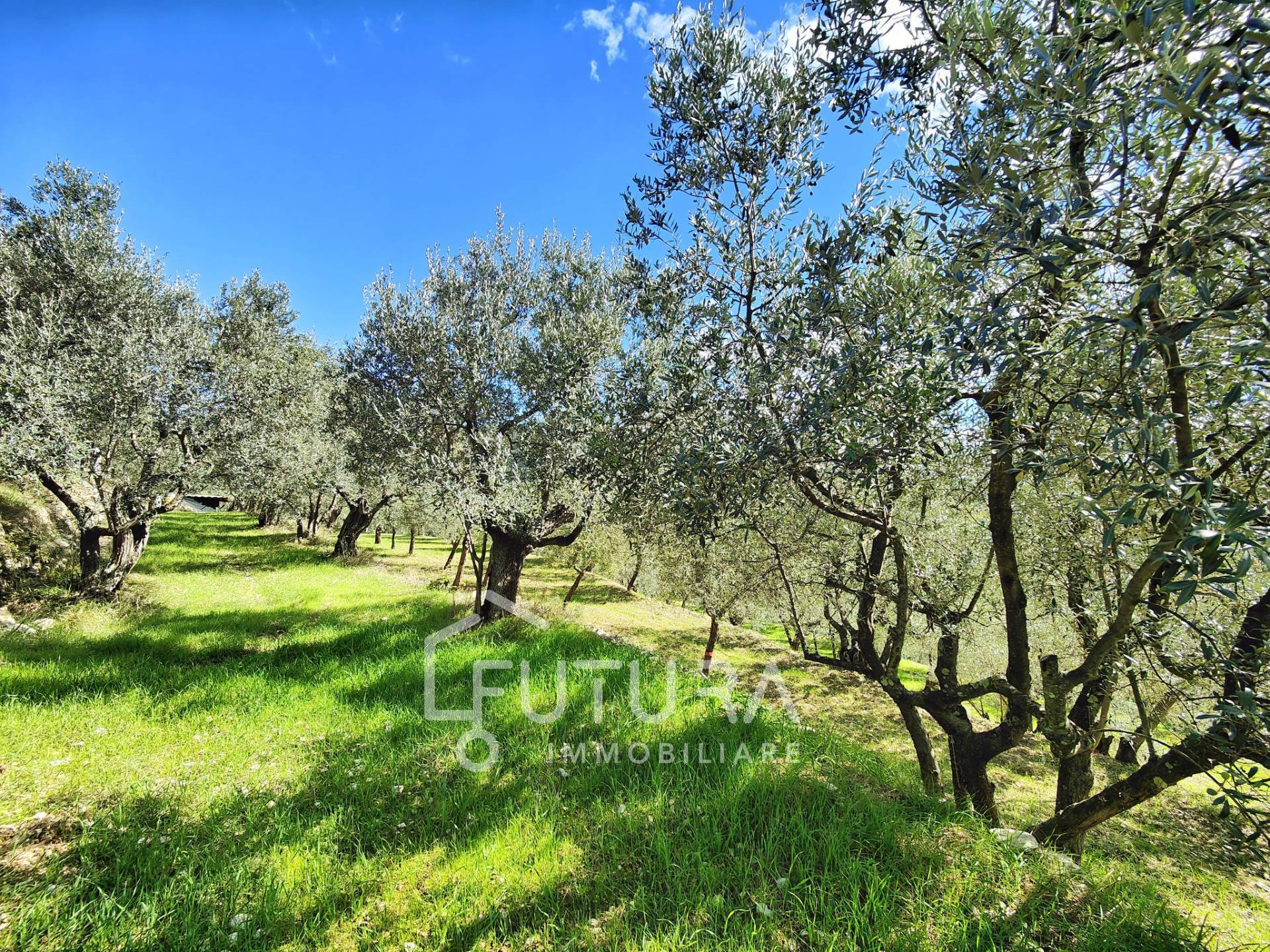 Terreno Agricolo in vendita a Sesto Fiorentino, Colonnata