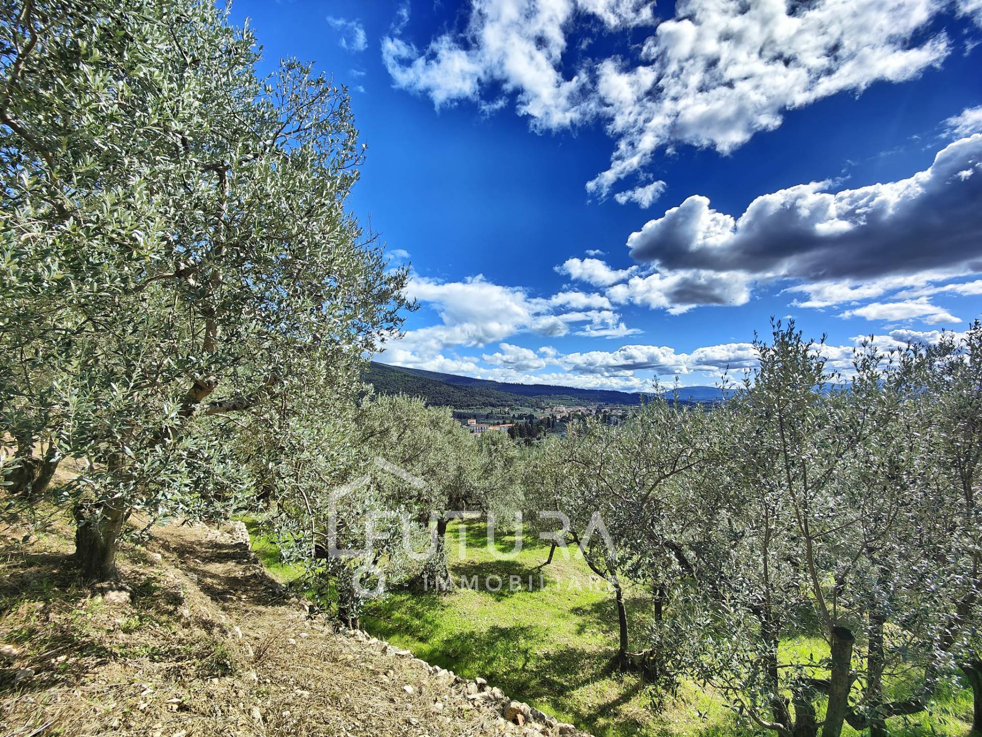 Terreno Agricolo in vendita a Sesto Fiorentino, Colonnata