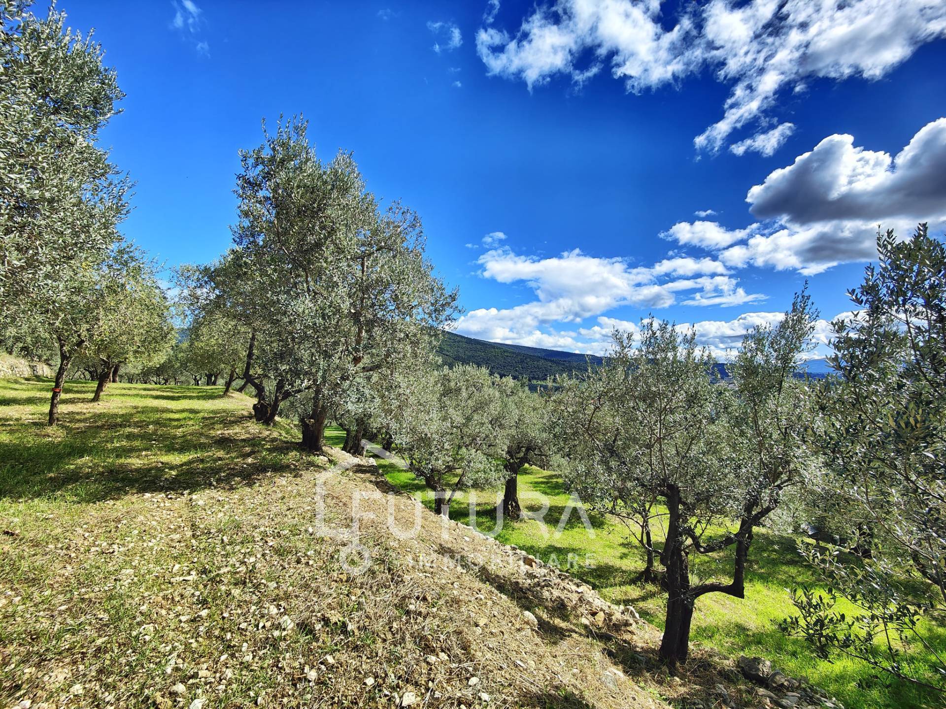 Terreno Agricolo in vendita a Sesto Fiorentino, Colonnata