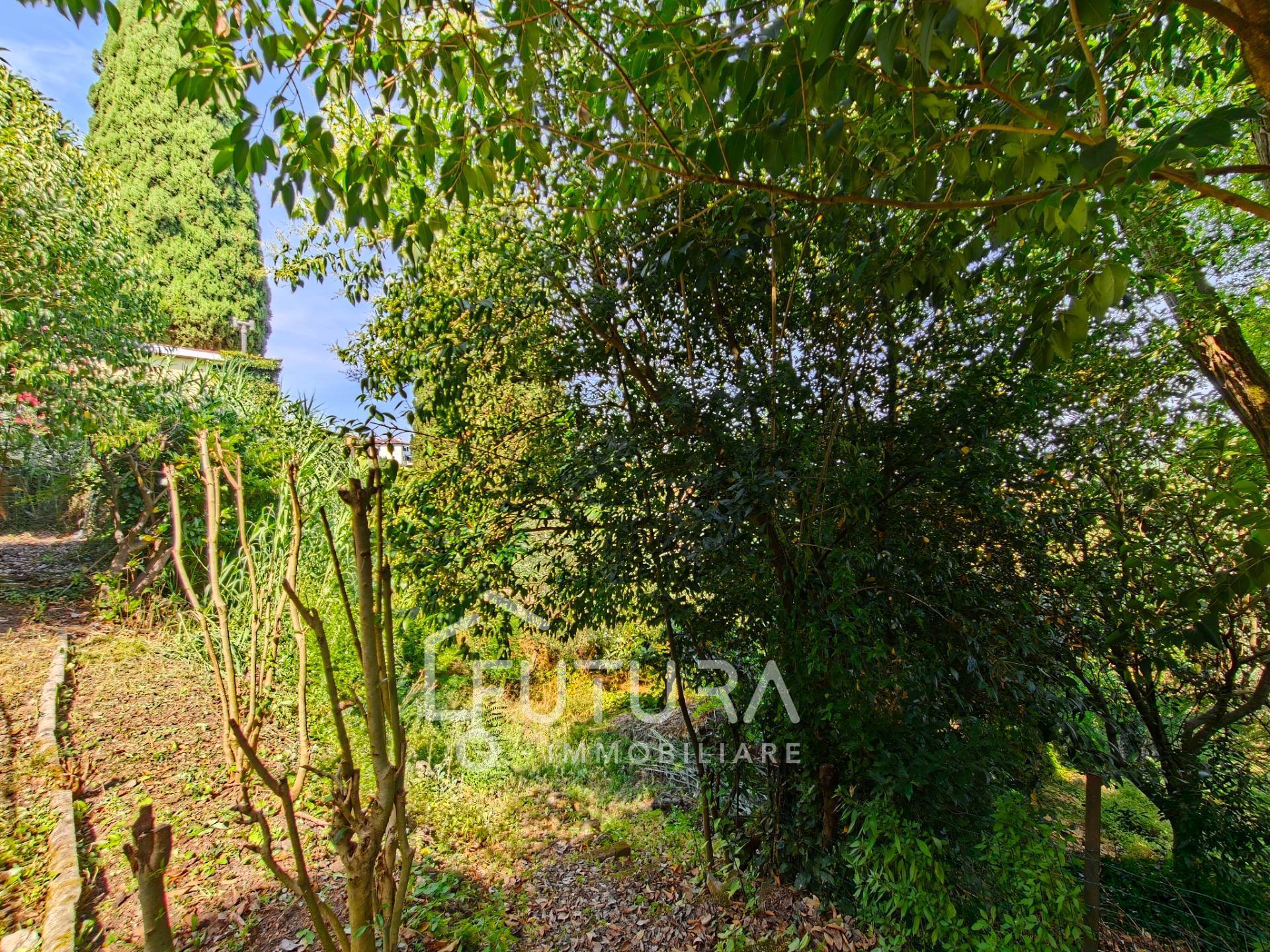 Casa singola in vendita a Carmignano, Comeana