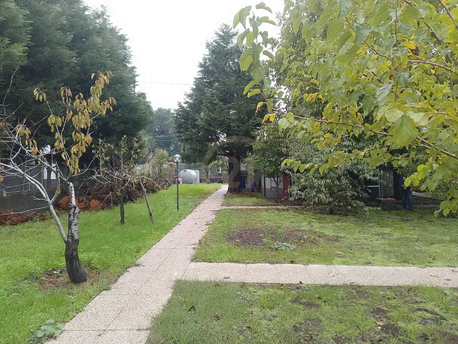 Casa indipendente in vendita, Trecastagni circonvallazione