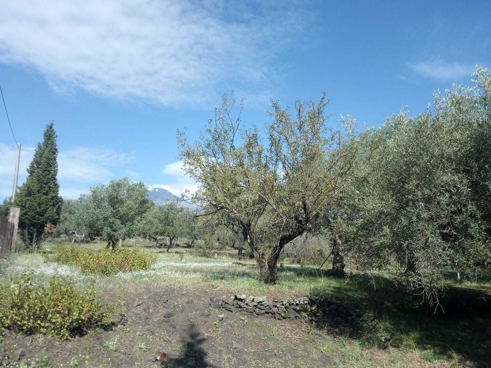 Terreno Edificabile in vendita, Pedara contrada ombra