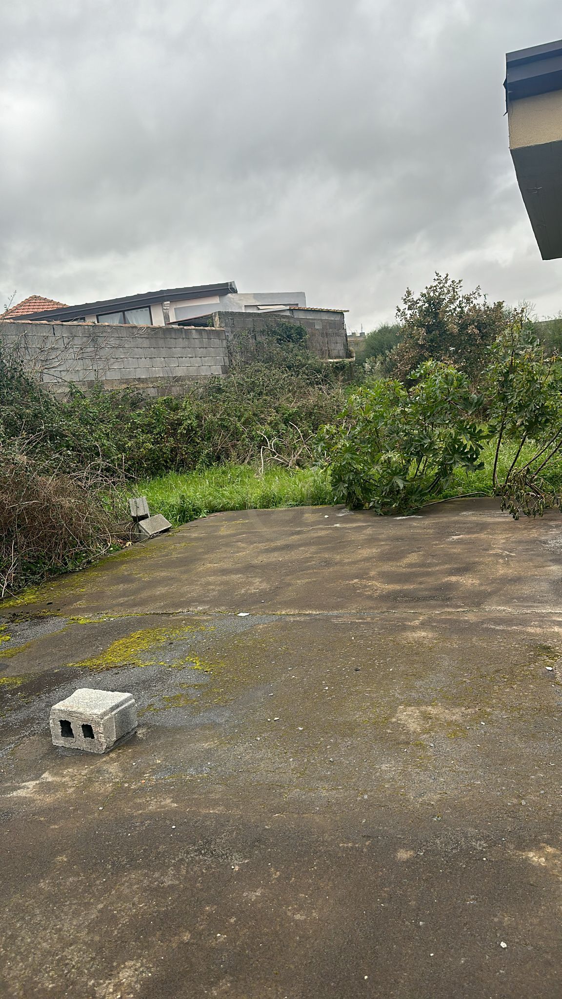 Terreno Agricolo in vendita, San Pietro Clarenza semicentro