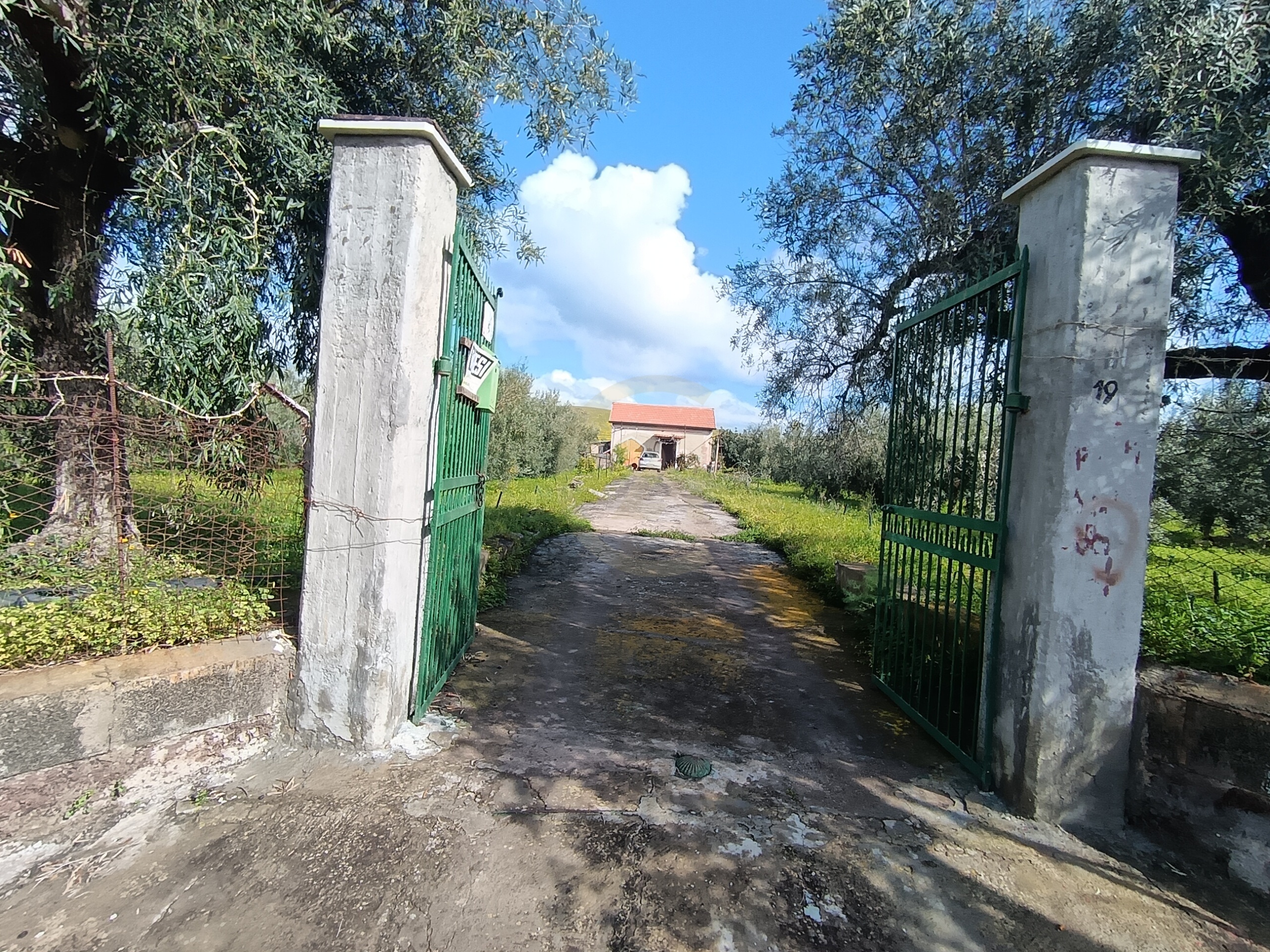 Terreno Agricolo in vendita in grv6+27 patern� citt� metropolitana di catania, Patern�