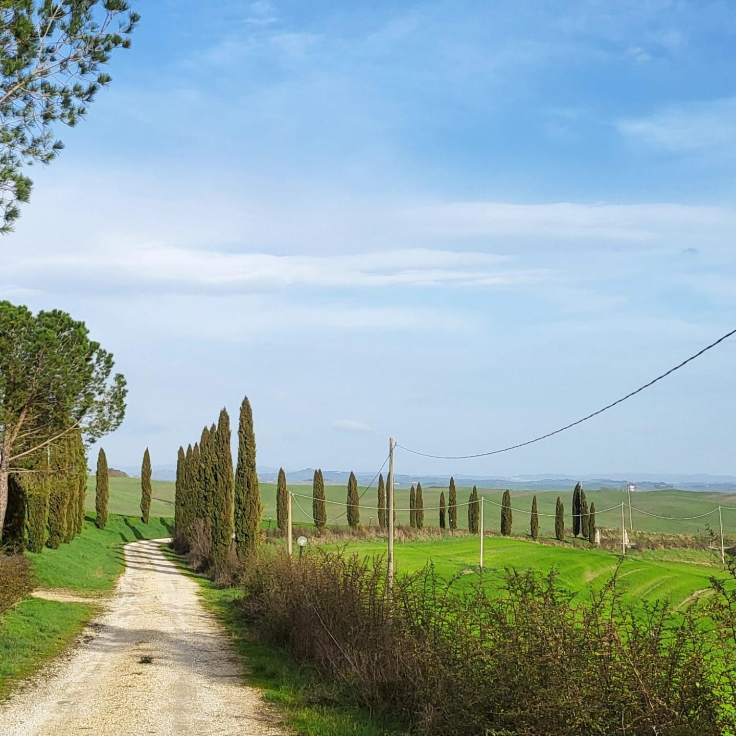 Casa indipendente con giardino, Monteroni d'Arbia monsindoli