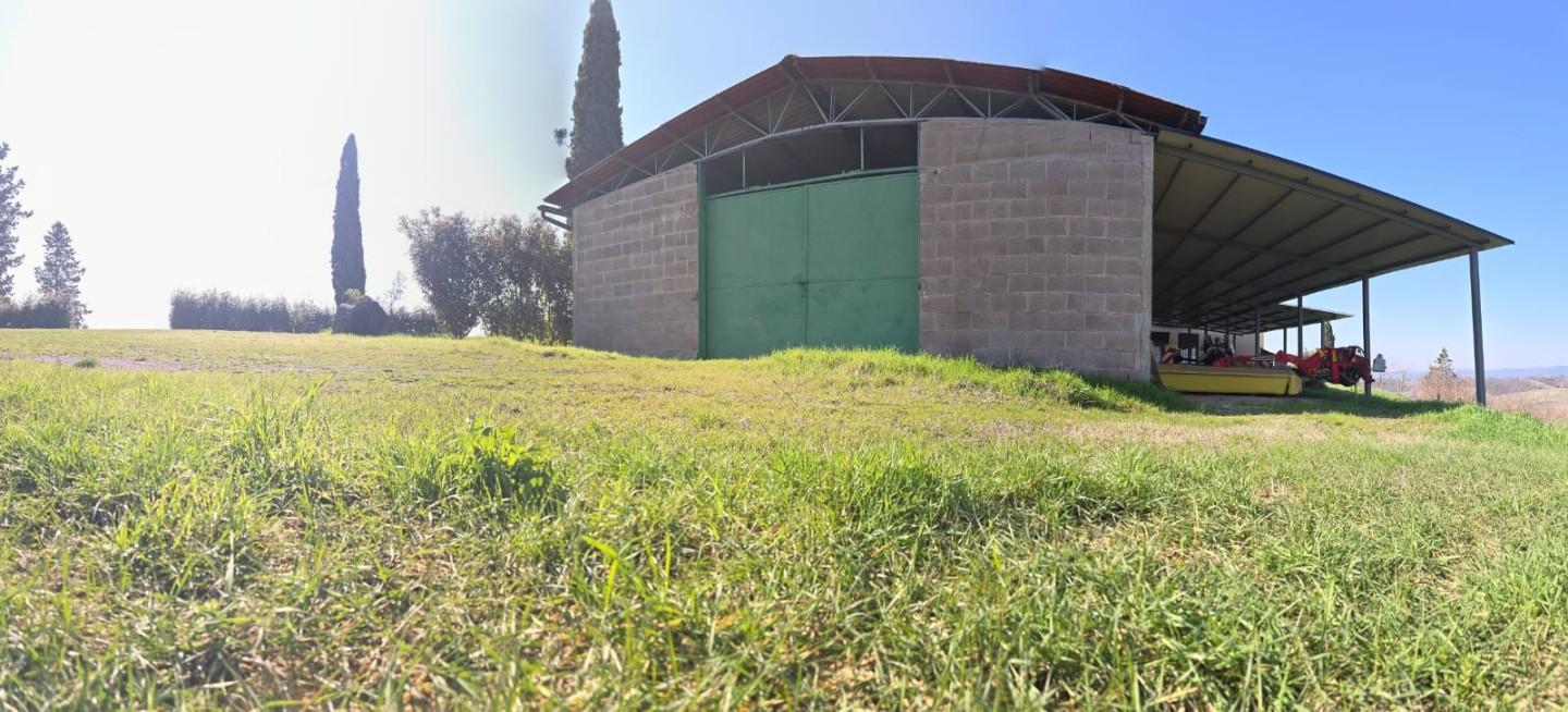 Rustico da ristrutturare, Monteroni d'Arbia ville di corsano