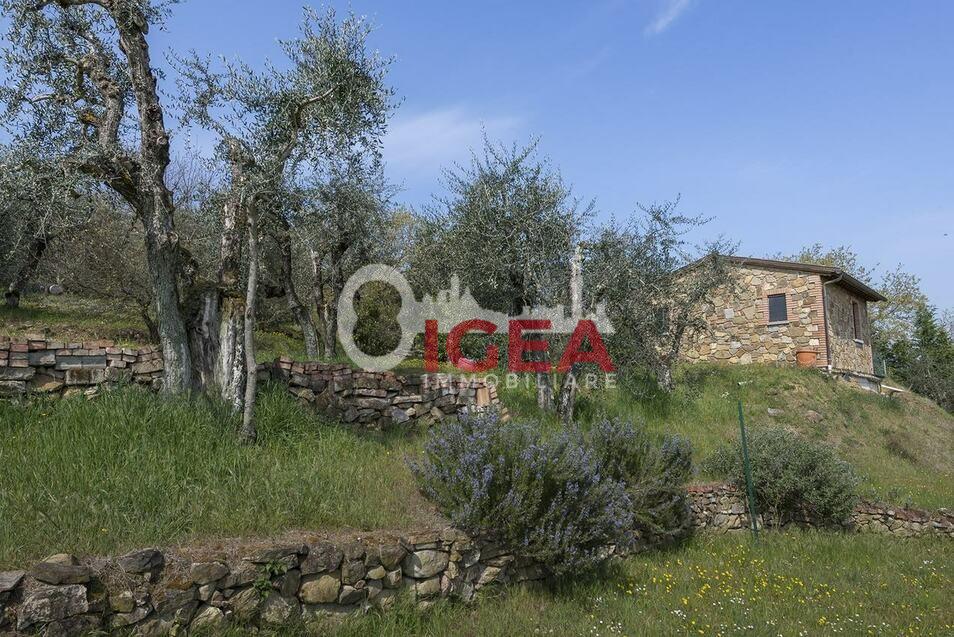 Rustico in vendita, Sinalunga scrofiano