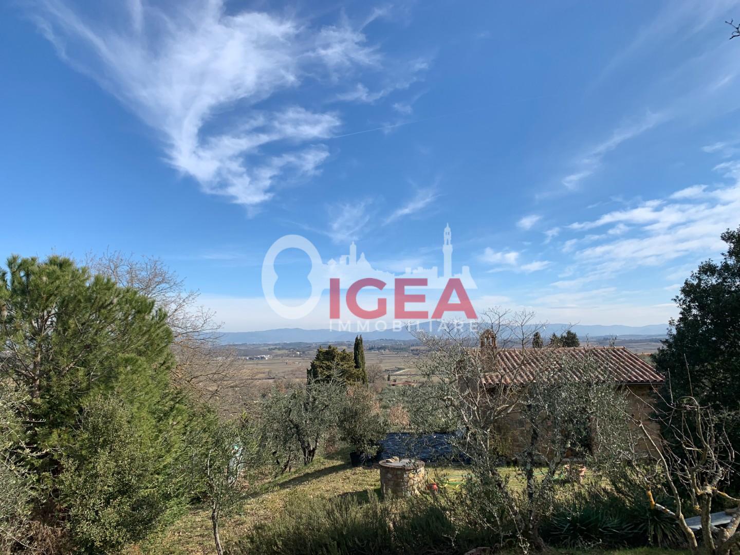 Rustico in vendita, Sinalunga scrofiano