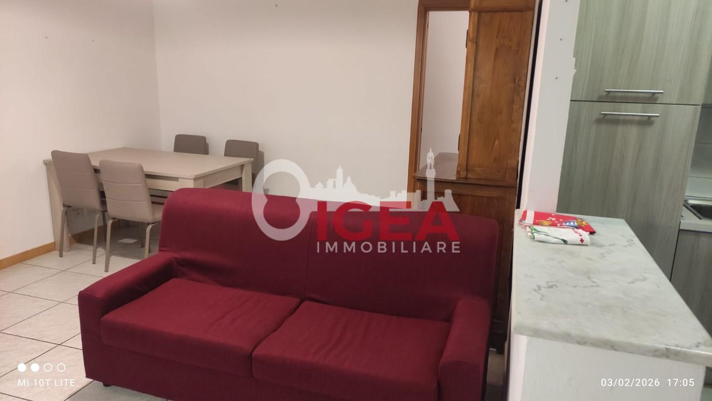 Quadrilocale arredato in affitto a Sovicille