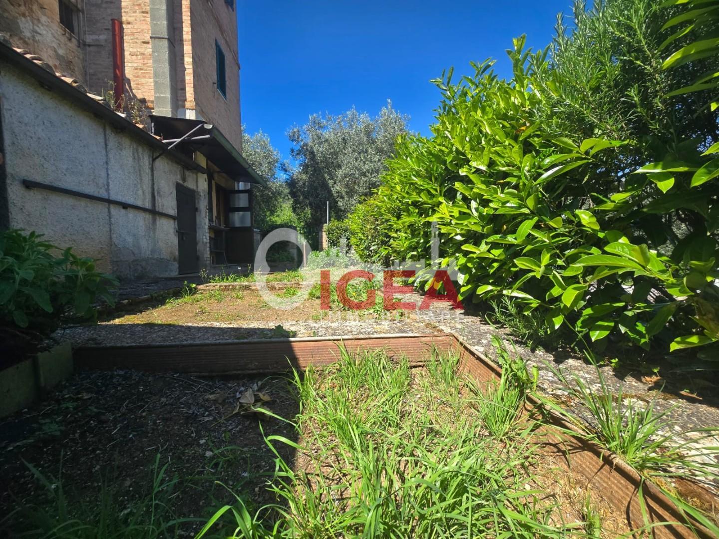 Appartamento con giardino, Sovicille ancaiano