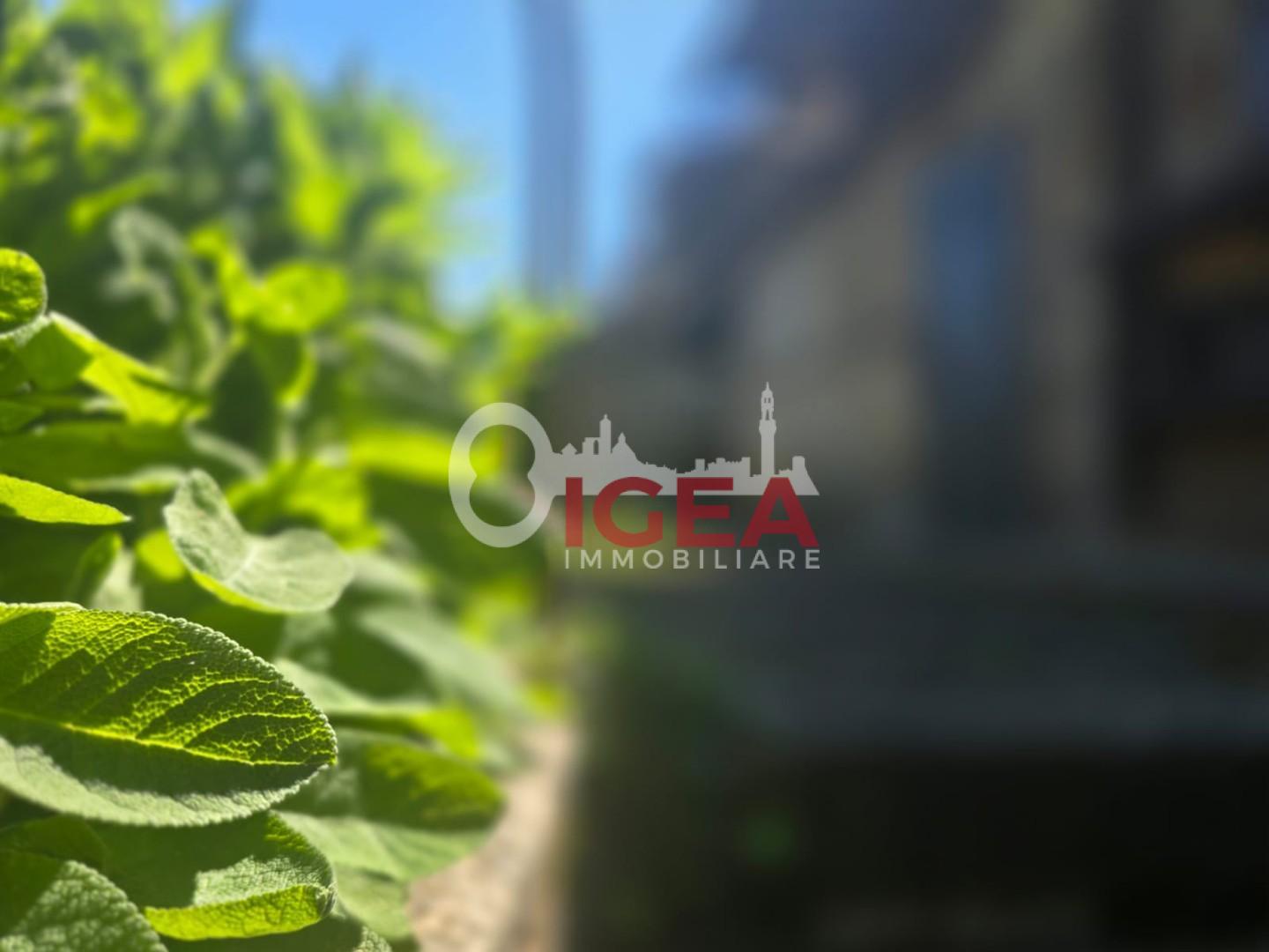 Appartamento con giardino, Sovicille ancaiano