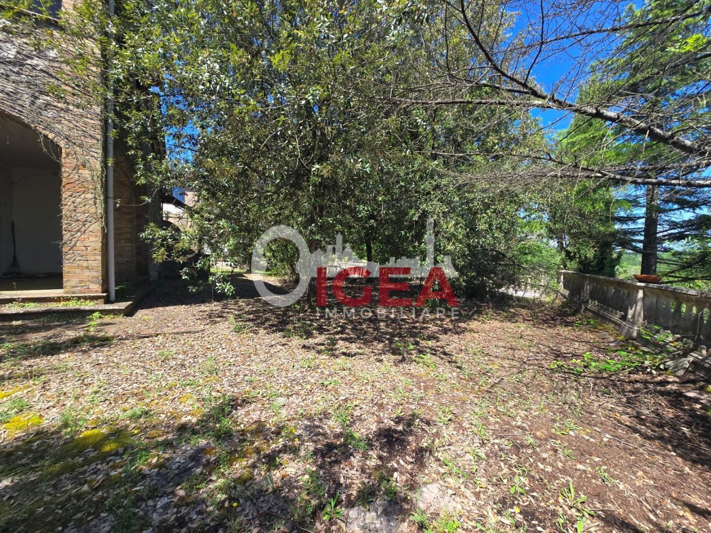 Casa indipendente con giardino a Chiusdino