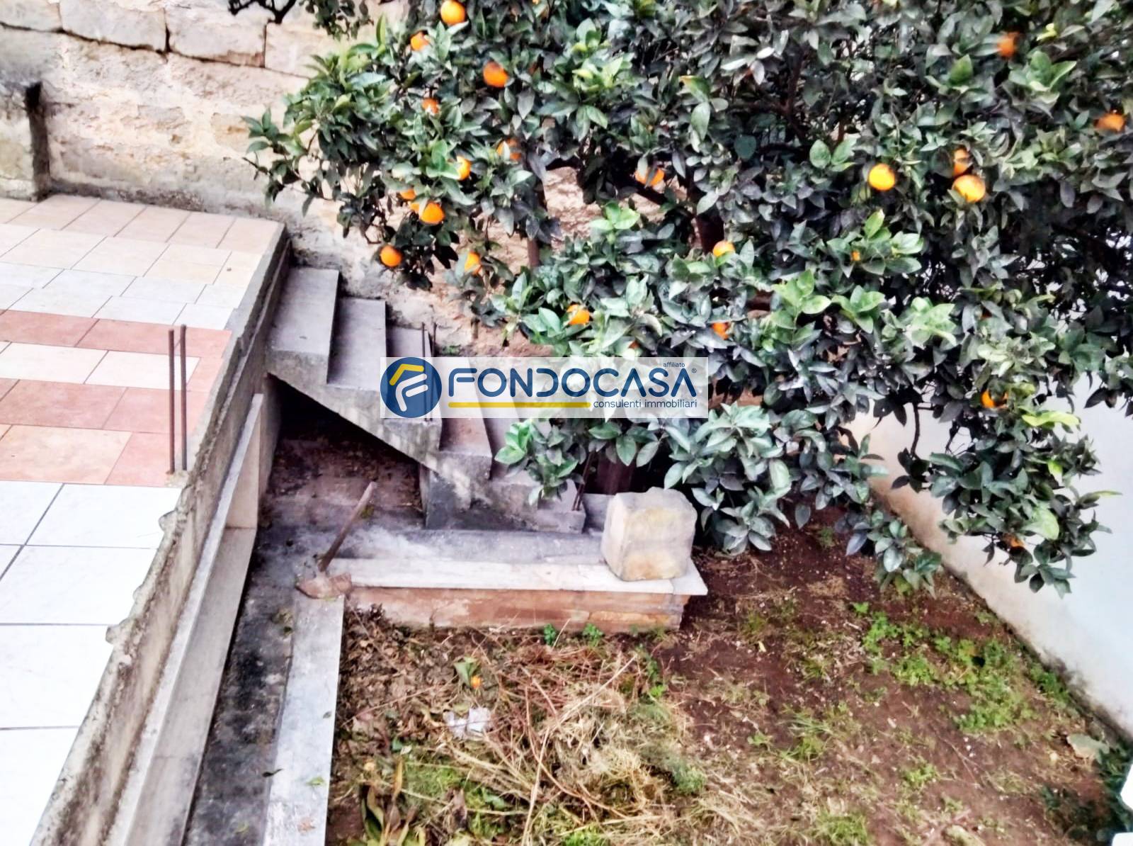 immagine annuncio 4 di 6