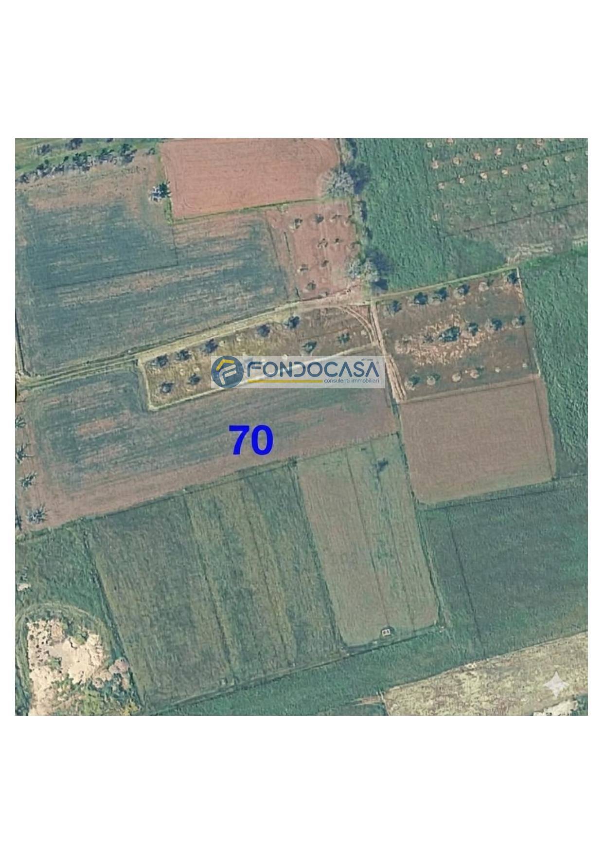 Terreno in vendita a Matino