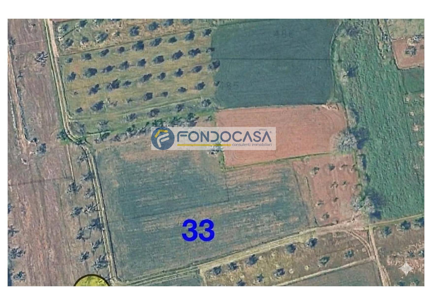 Terreno in vendita a Matino