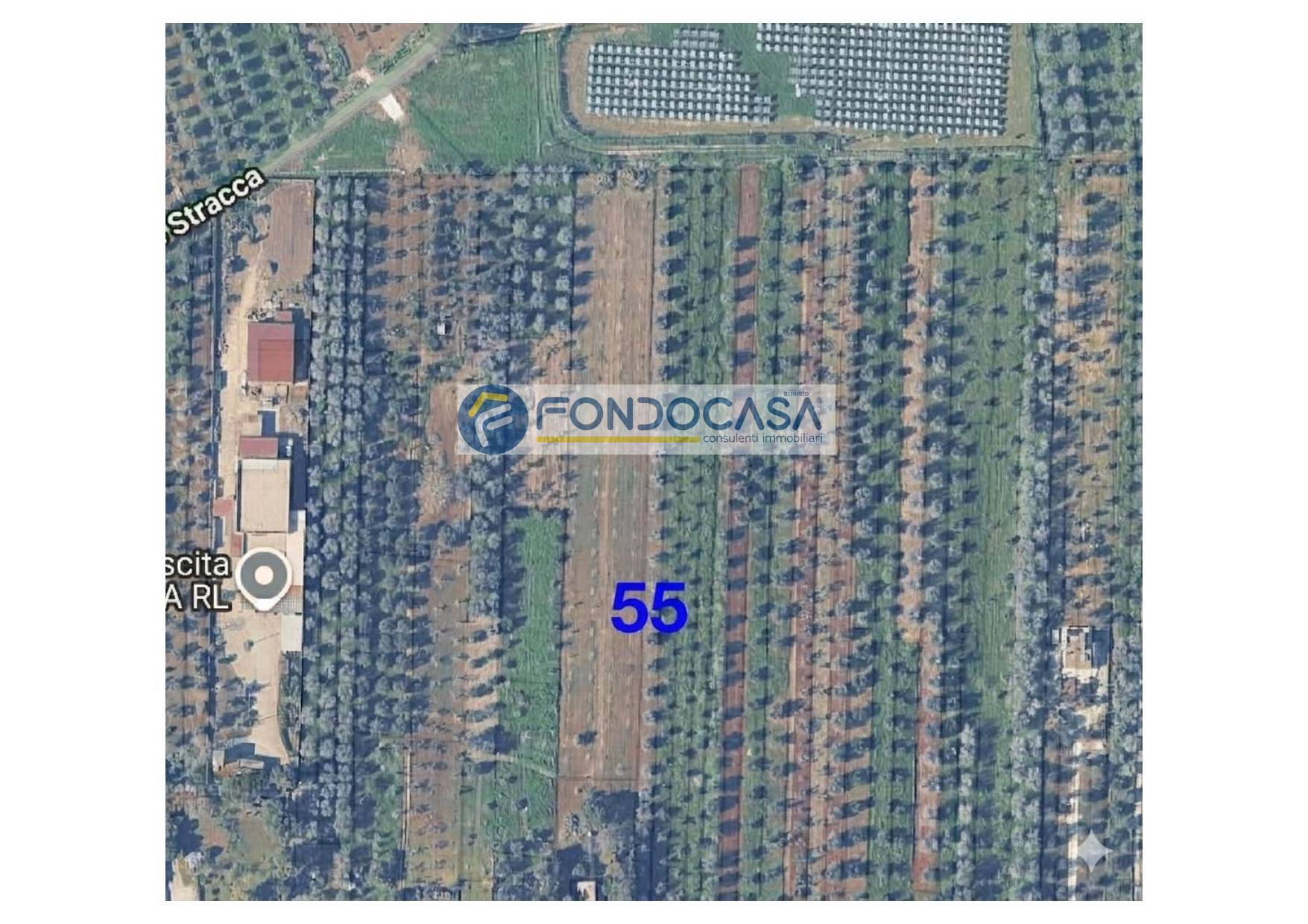 Terreno in vendita a Collepasso