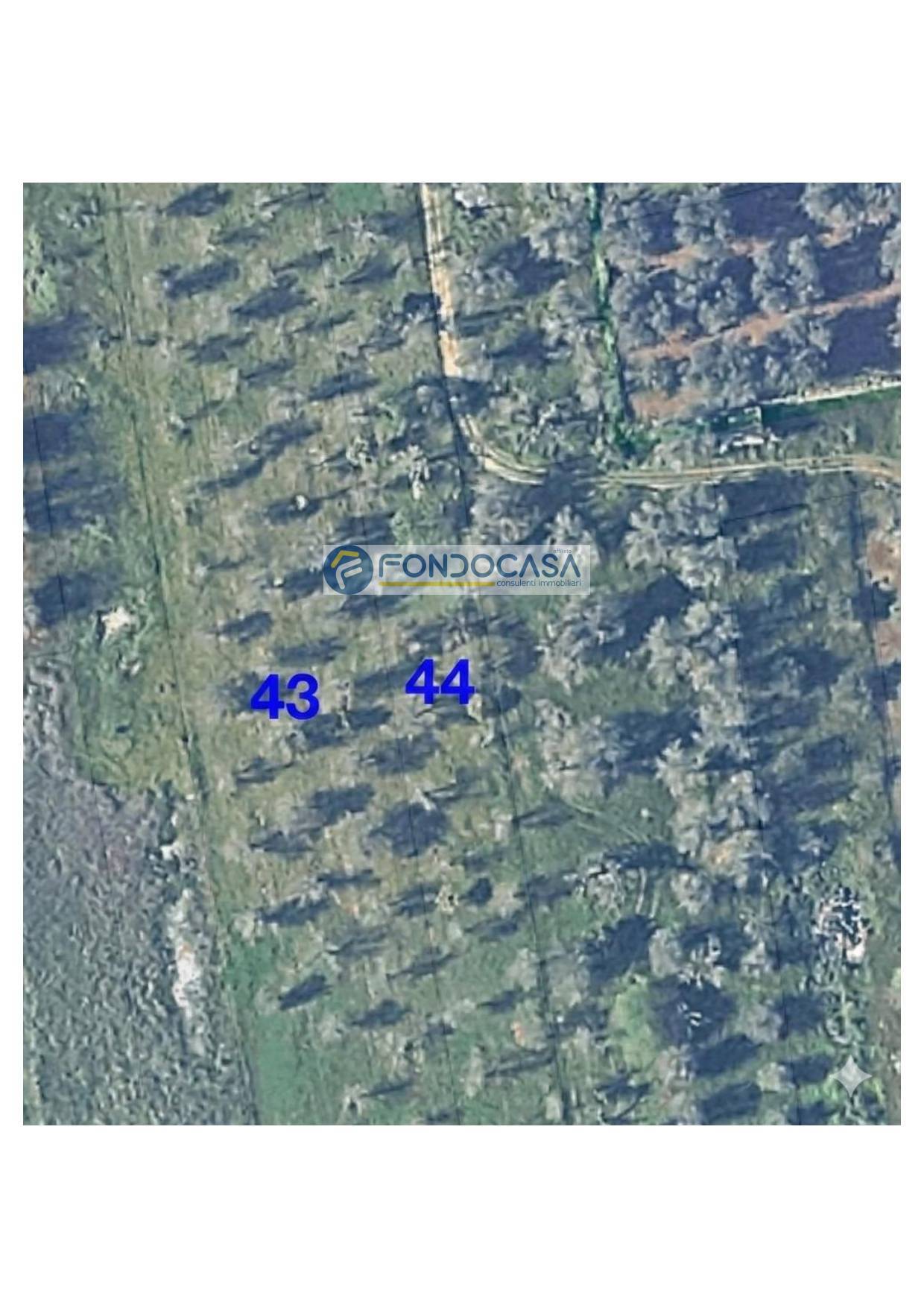 Terreno in vendita a Collepasso