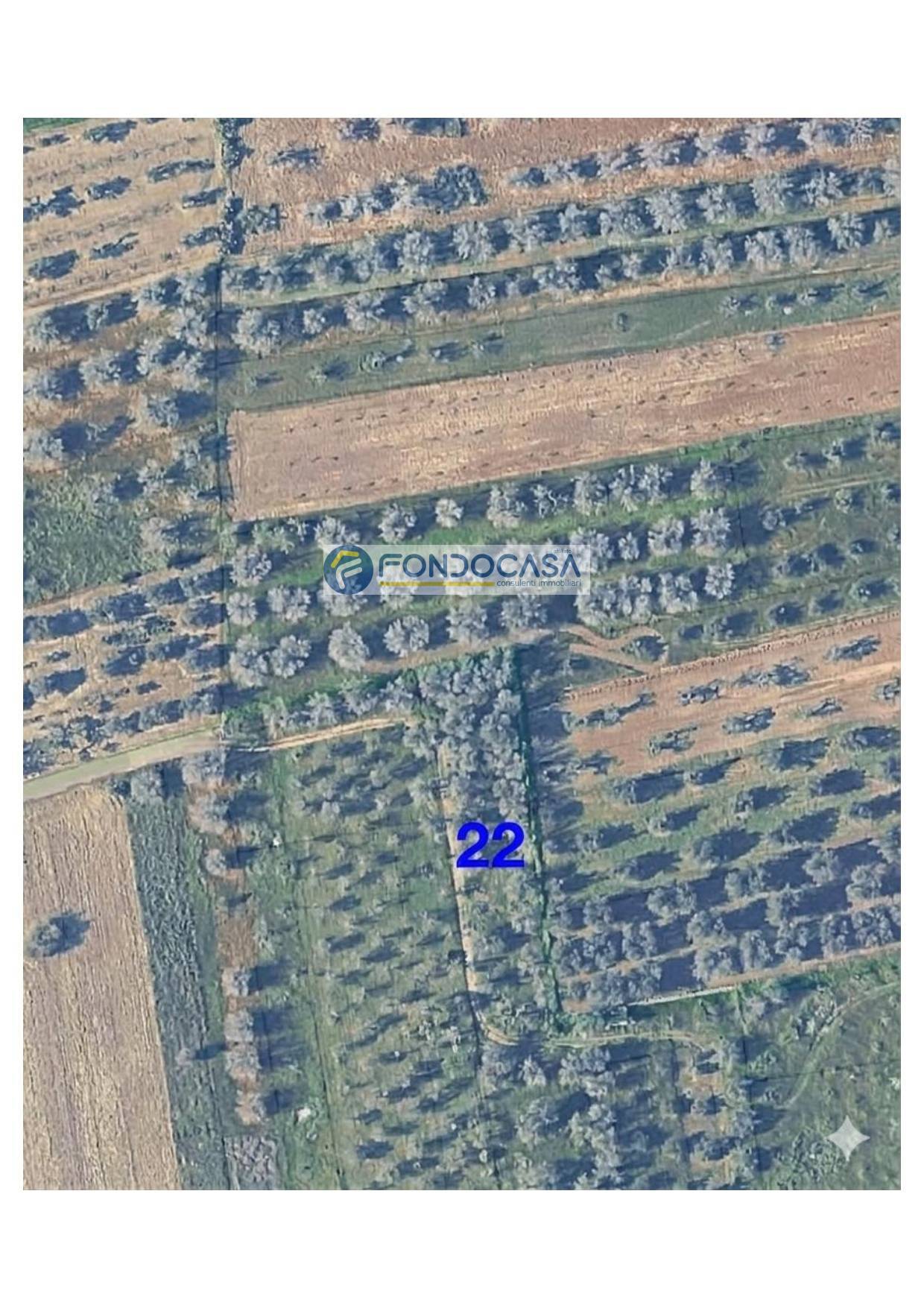 Terreno in vendita a Collepasso