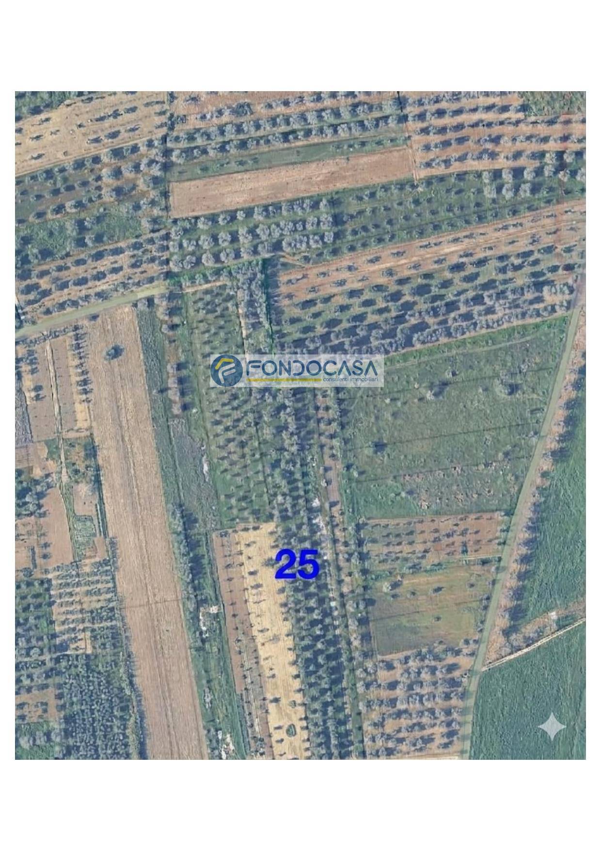 Terreno in vendita a Collepasso