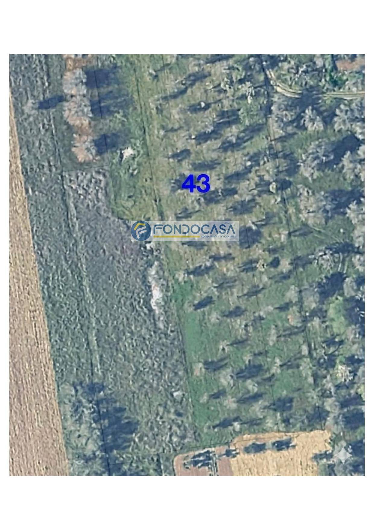 Terreno in vendita a Collepasso