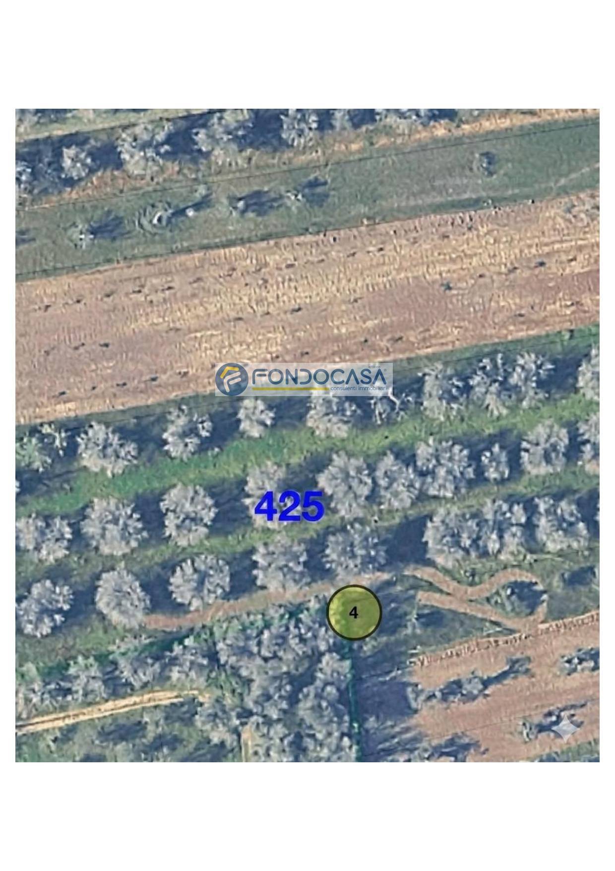 Terreno in vendita a Collepasso