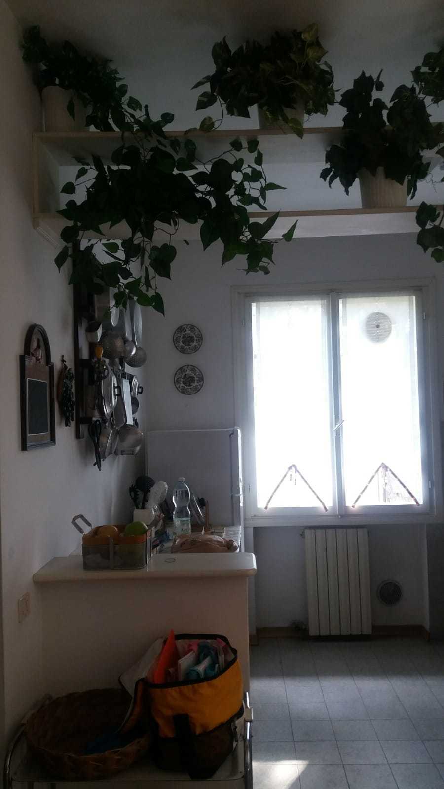 Appartamento in affitto in via pisa, Massa