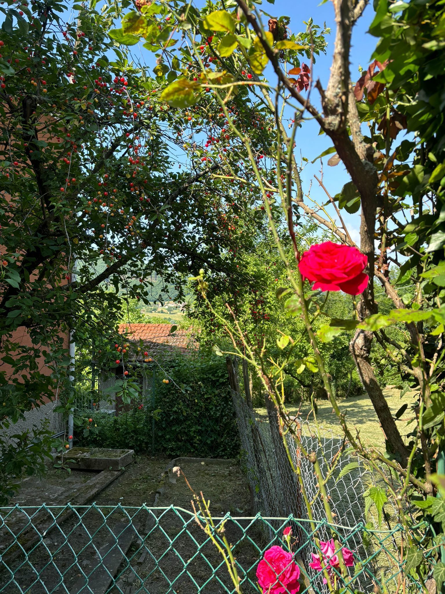 Casa indipendente in vendita, Terenzo corniana
