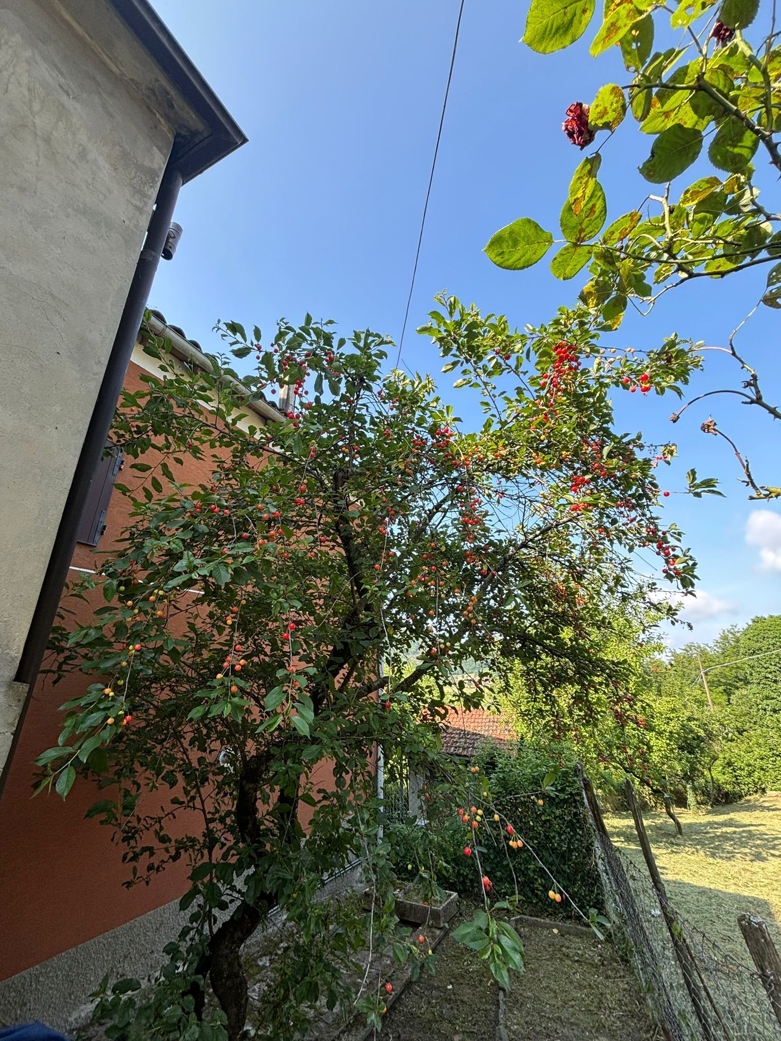 Casa indipendente in vendita, Terenzo corniana