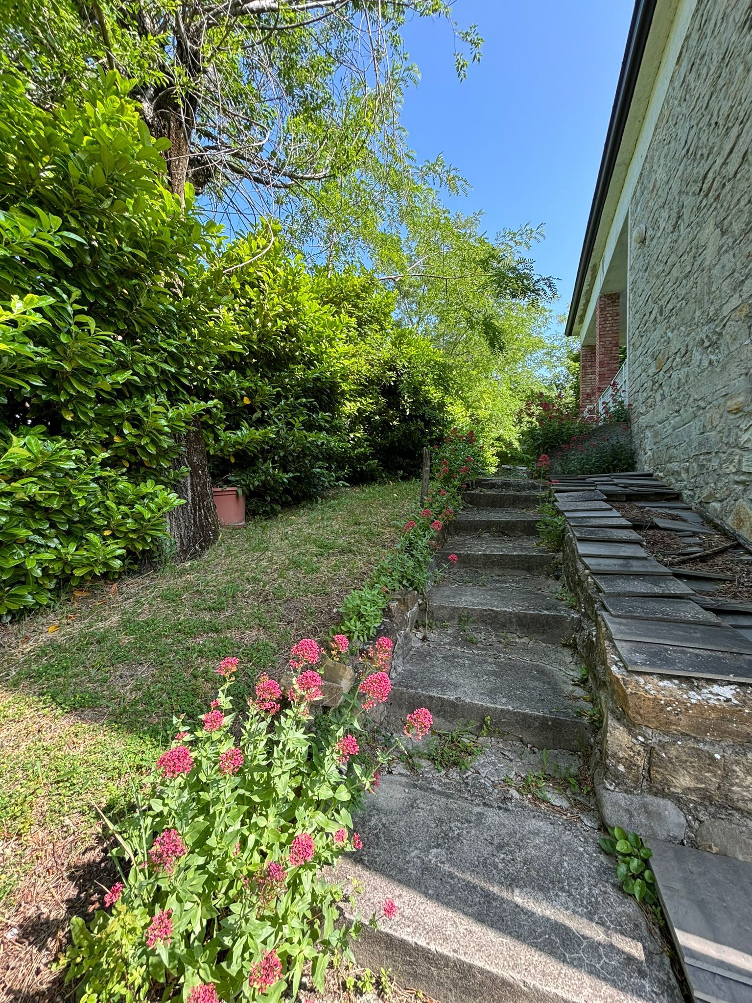 Casa indipendente in vendita, Terenzo corniana