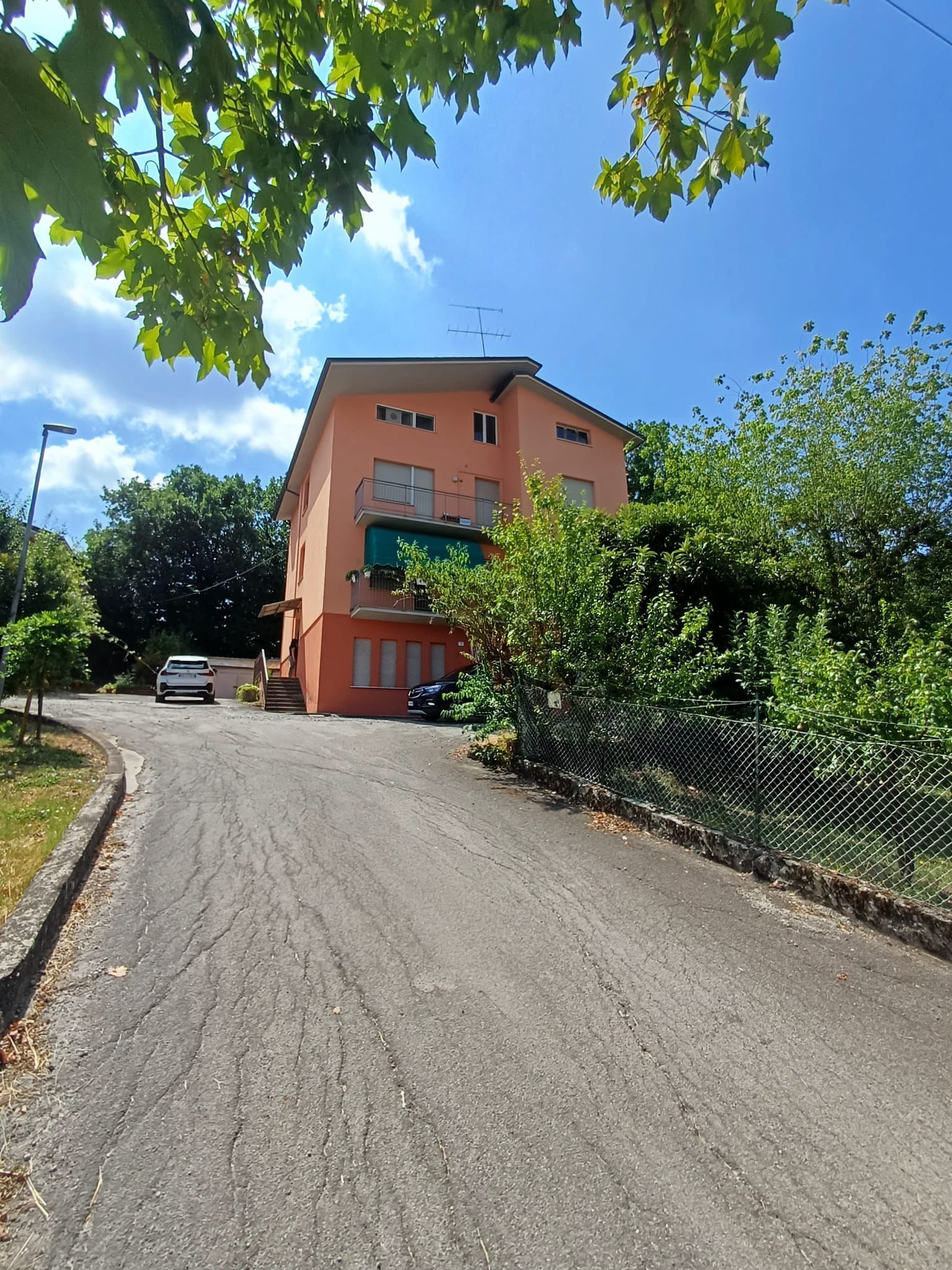 immagine annuncio 3 di 6