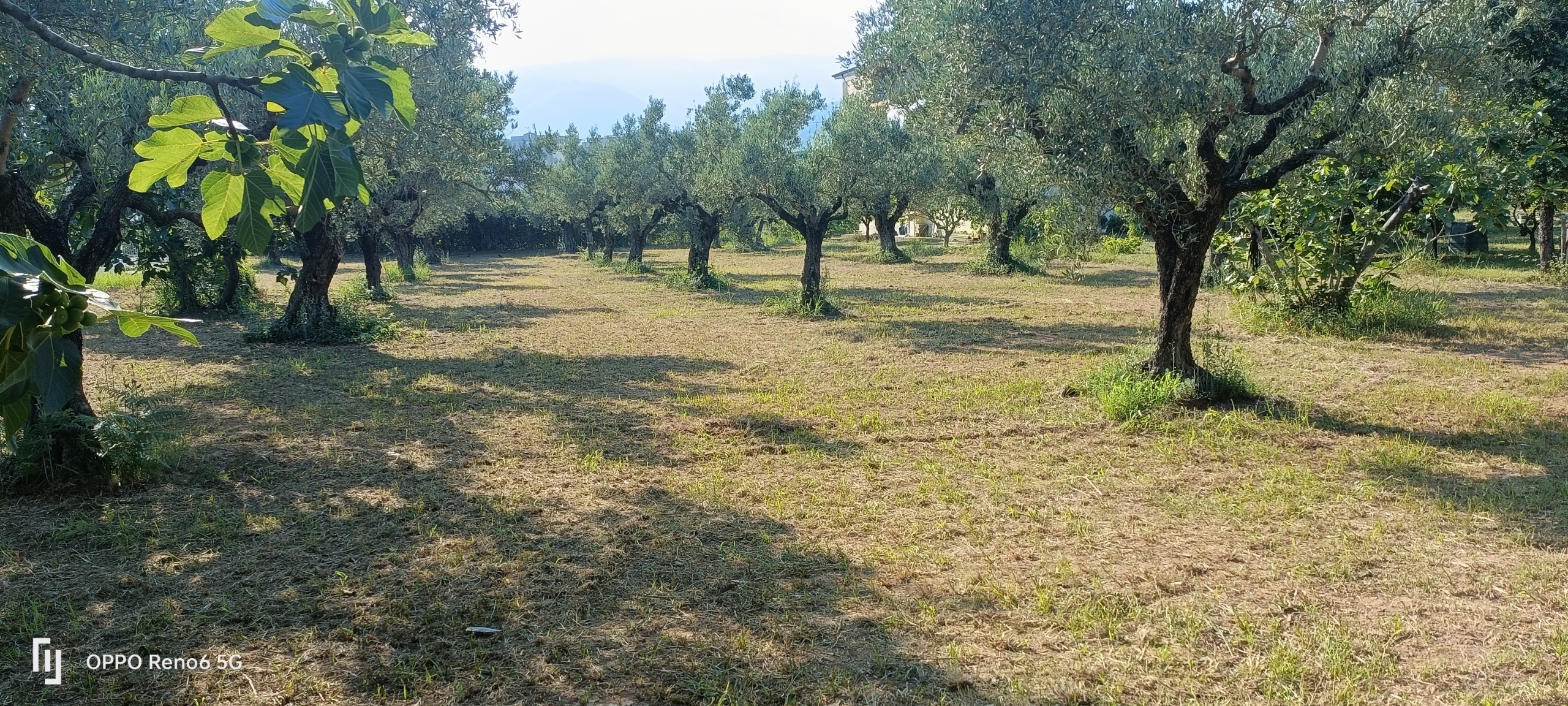 Terreno Edificabile in vendita in via degli enotri, Lamezia Terme
