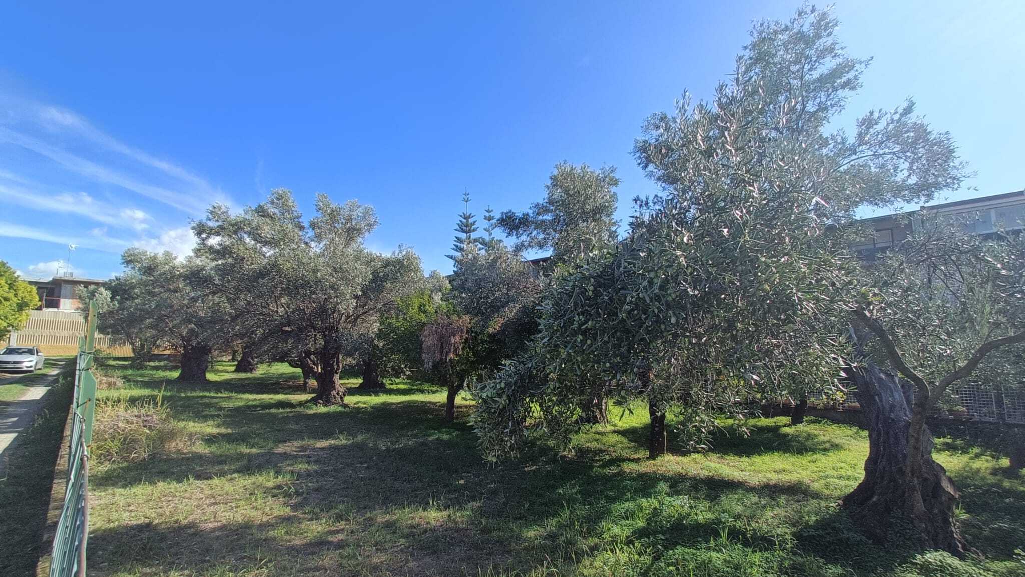 Terreno Edificabile in vendita in via giuseppe saragat, Lamezia Terme