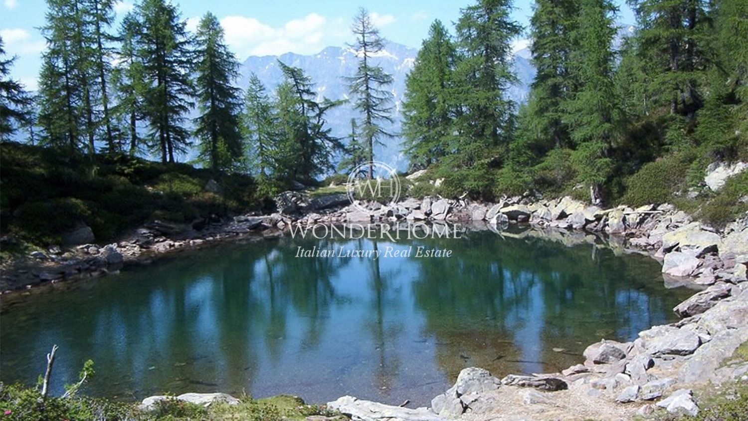 immagine annuncio 5 di 6