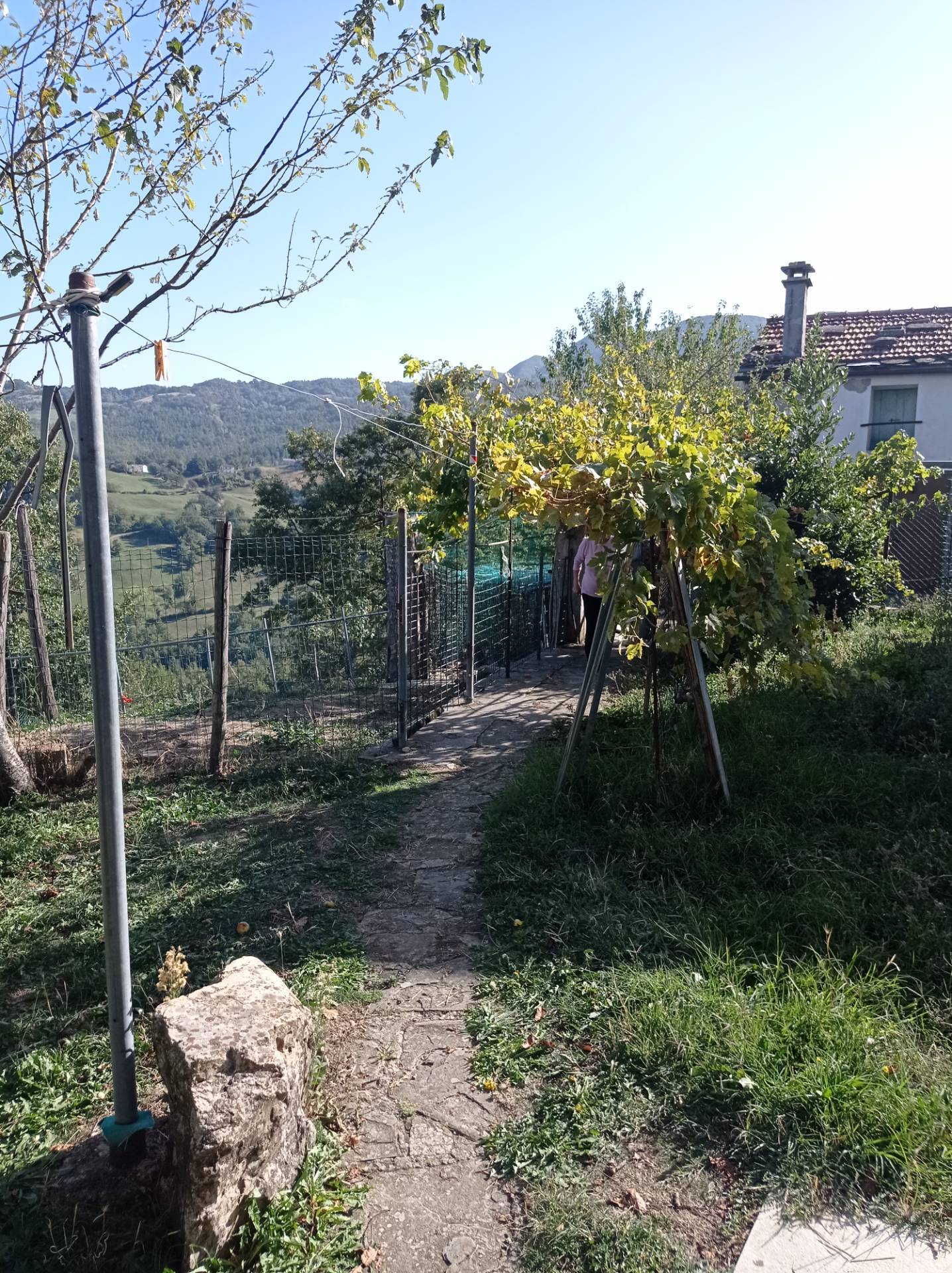 Casa singola in affitto a Faenza
