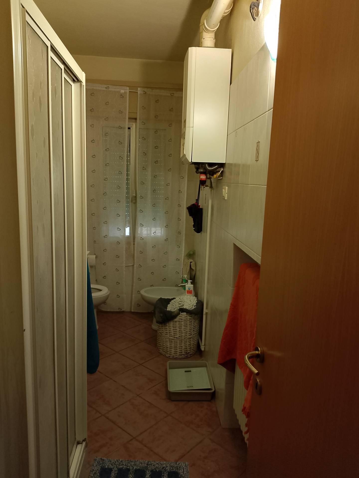 Appartamento in affitto a Solarolo