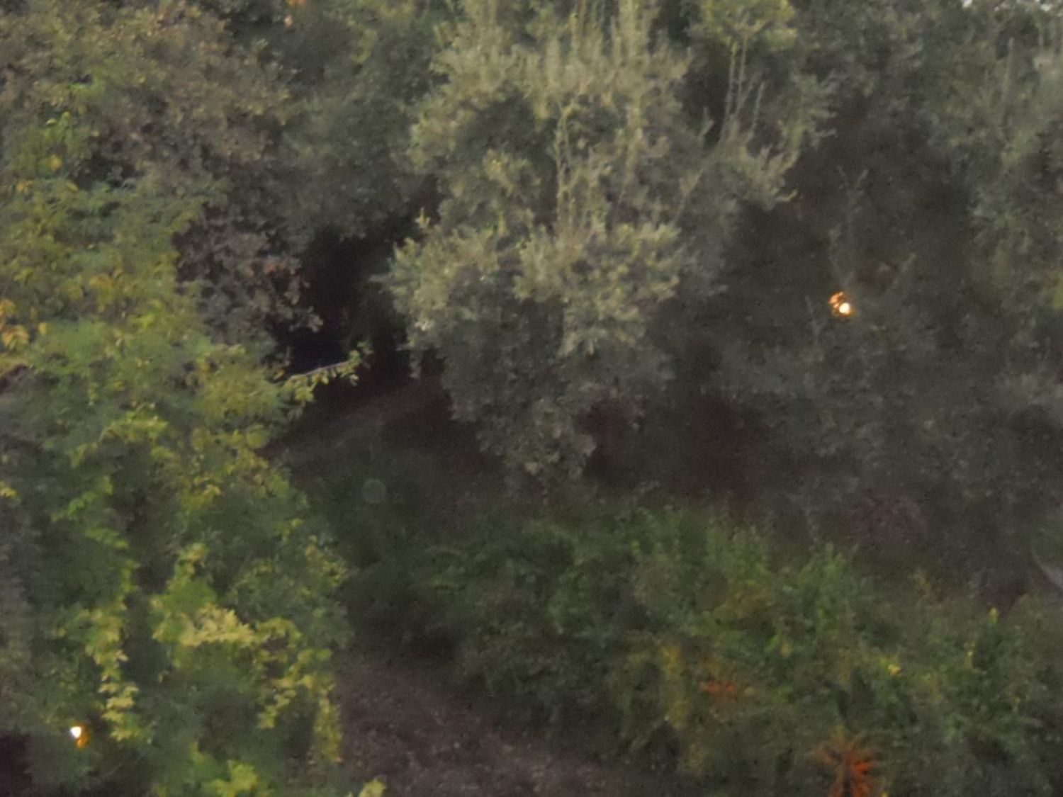 Studio/Ufficio in affitto a Faenza, Stazione