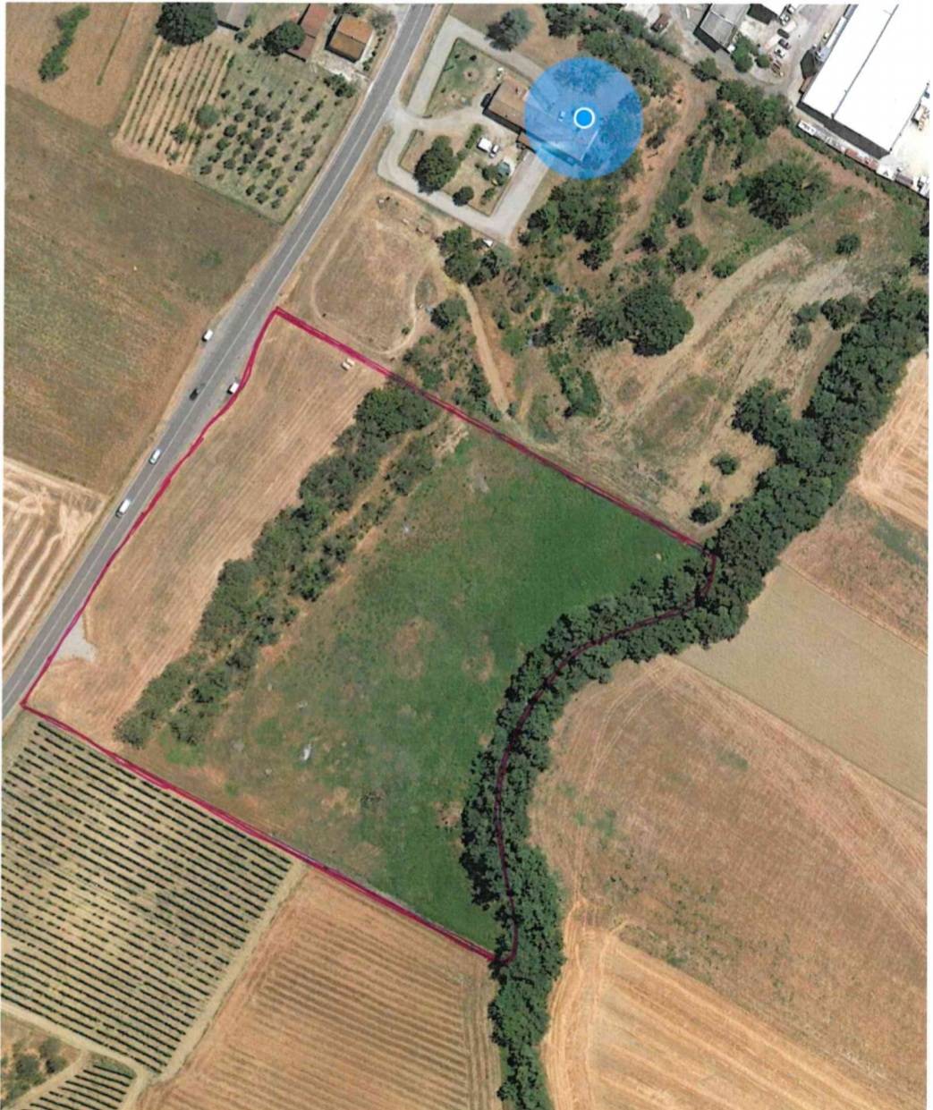 Terreno Agricolo in vendita a Forl