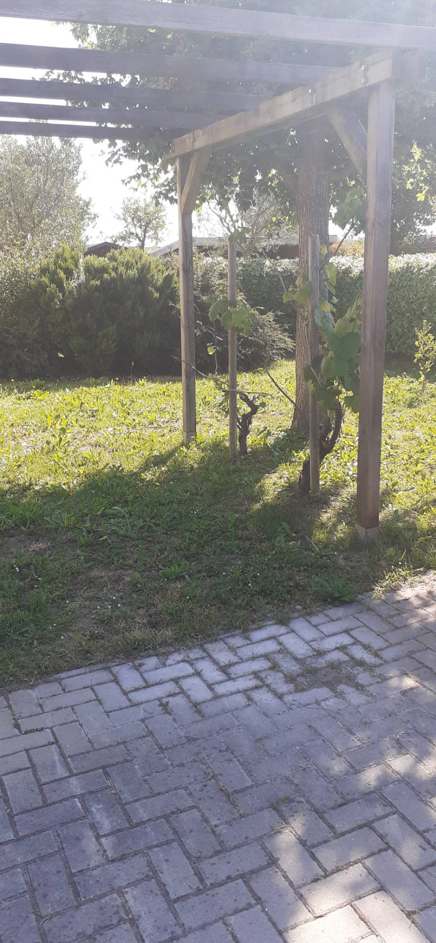 Casa singola in vendita a Faenza