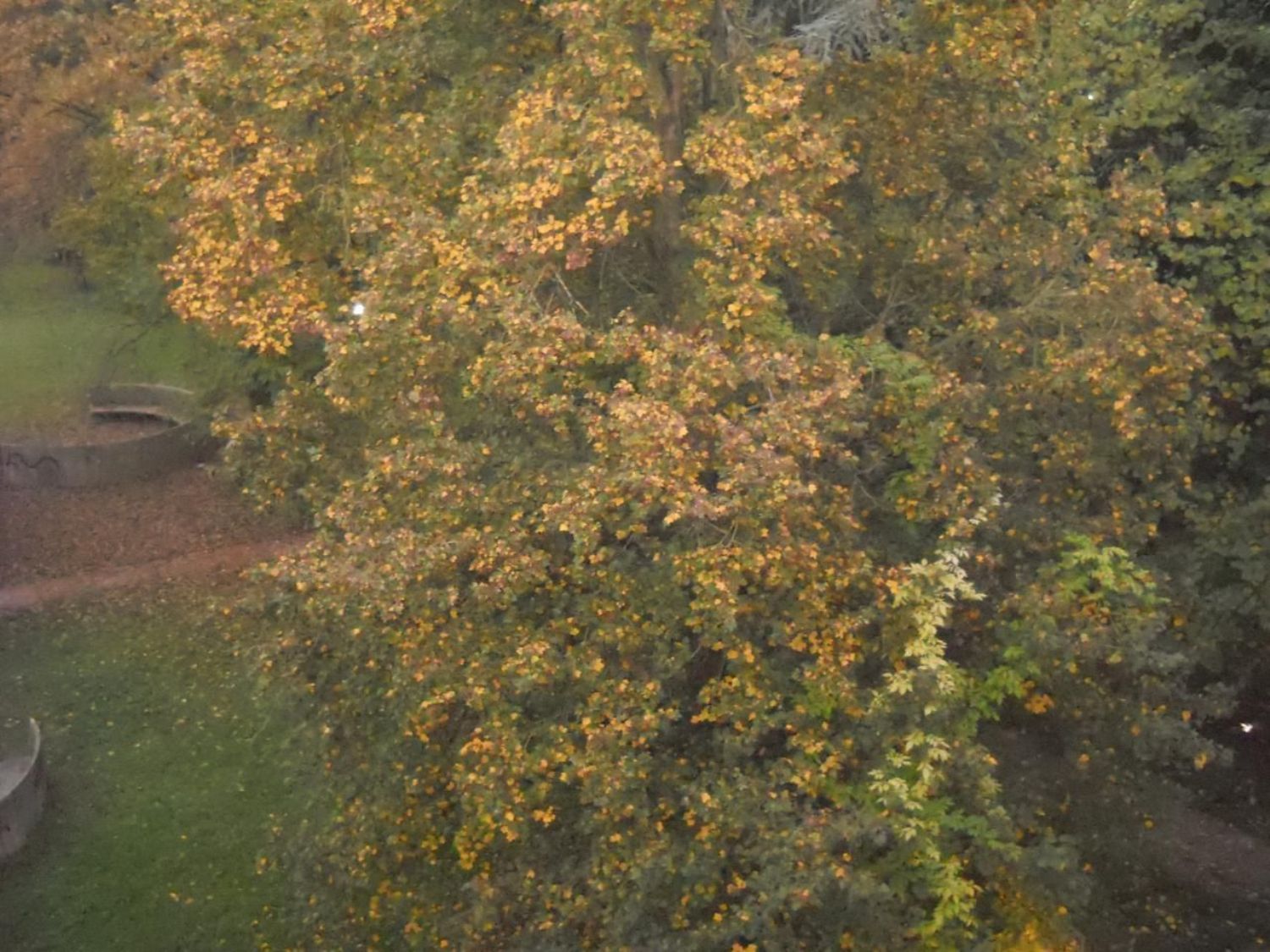 Studio/Ufficio in affitto a Faenza, Stazione