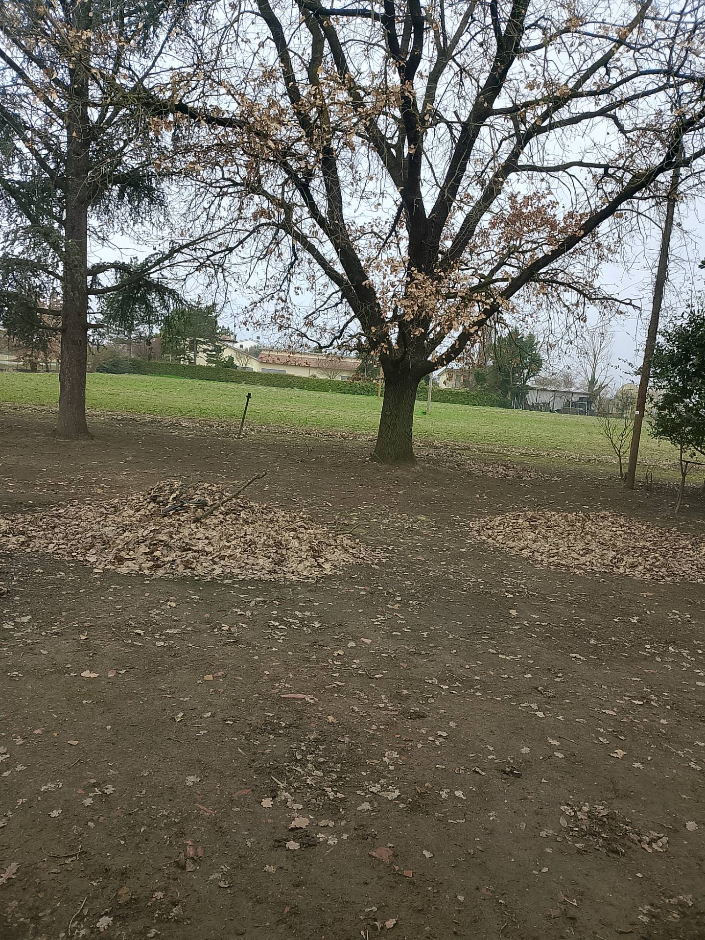 Casa singola in vendita a Solarolo