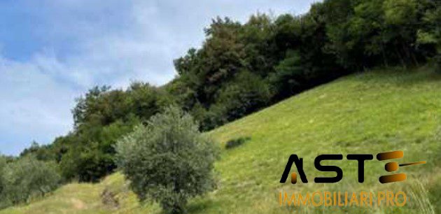 Terreno in vendita a Marostica