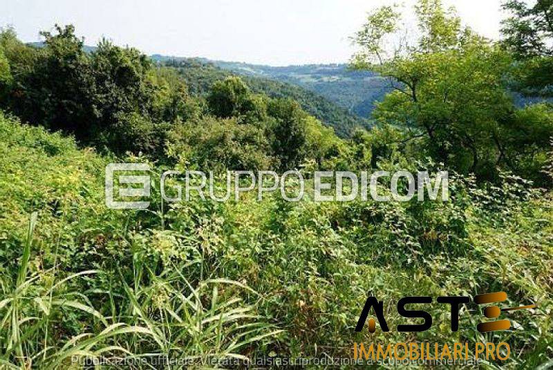Terreno in vendita a Sovizzo