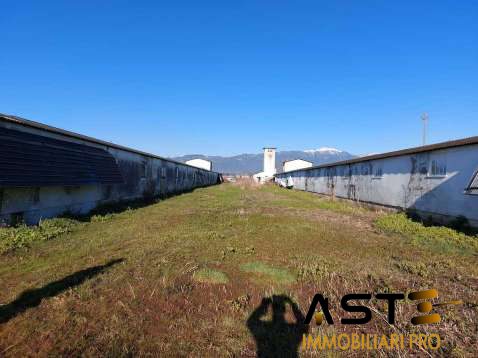 Terreno in vendita a Loria