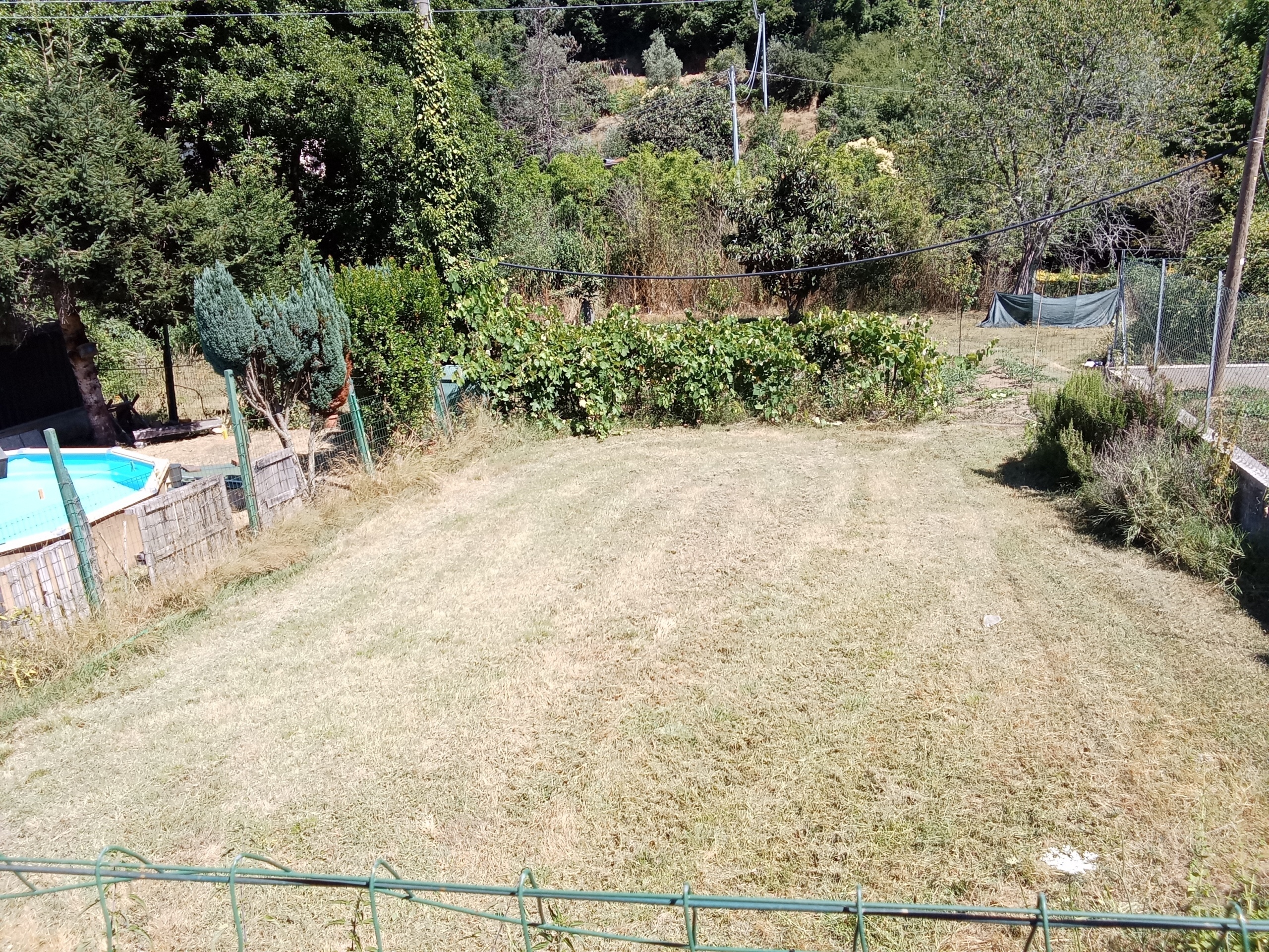 immagine annuncio 0 di 6