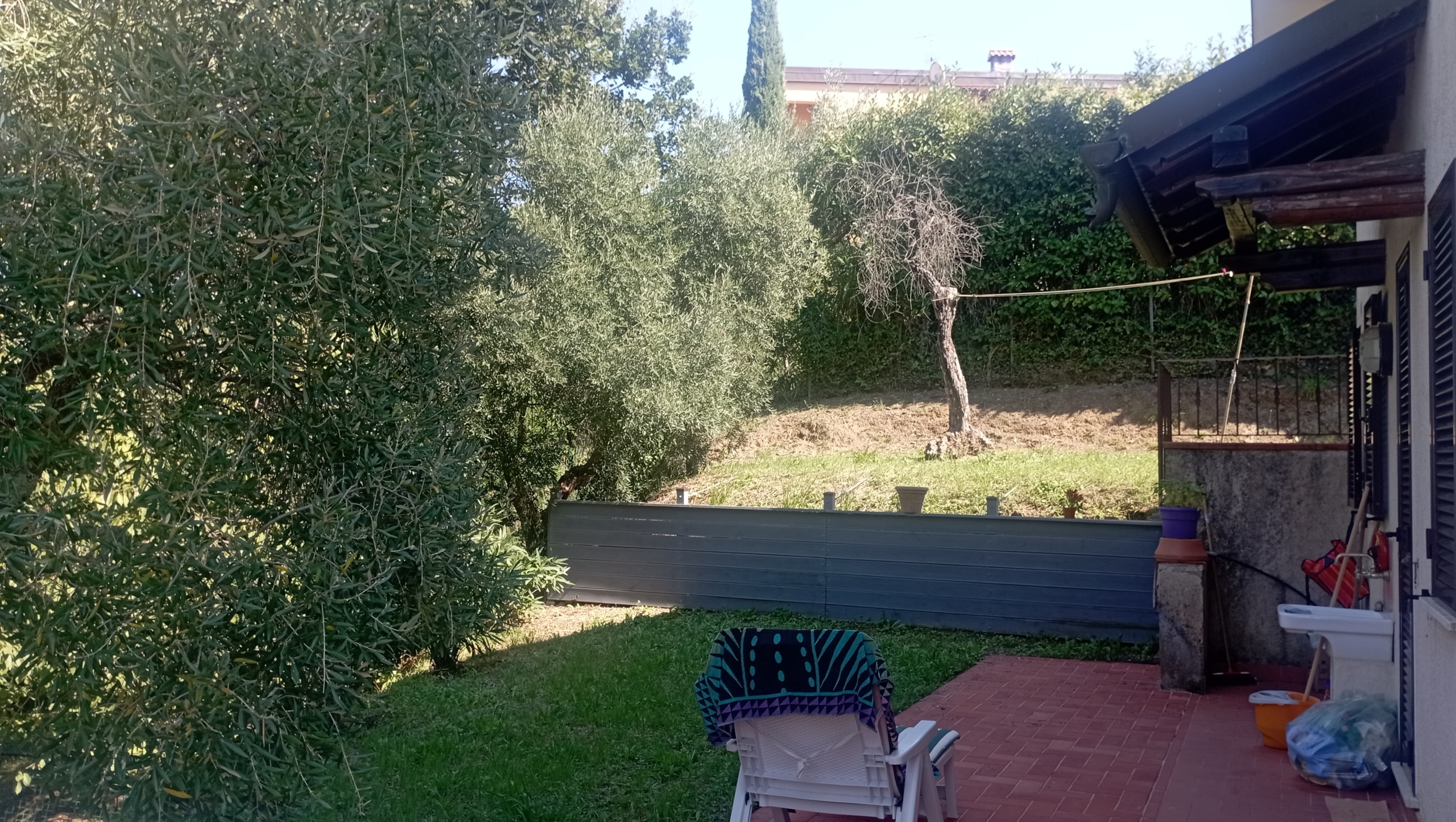 immagine annuncio 2 di 6