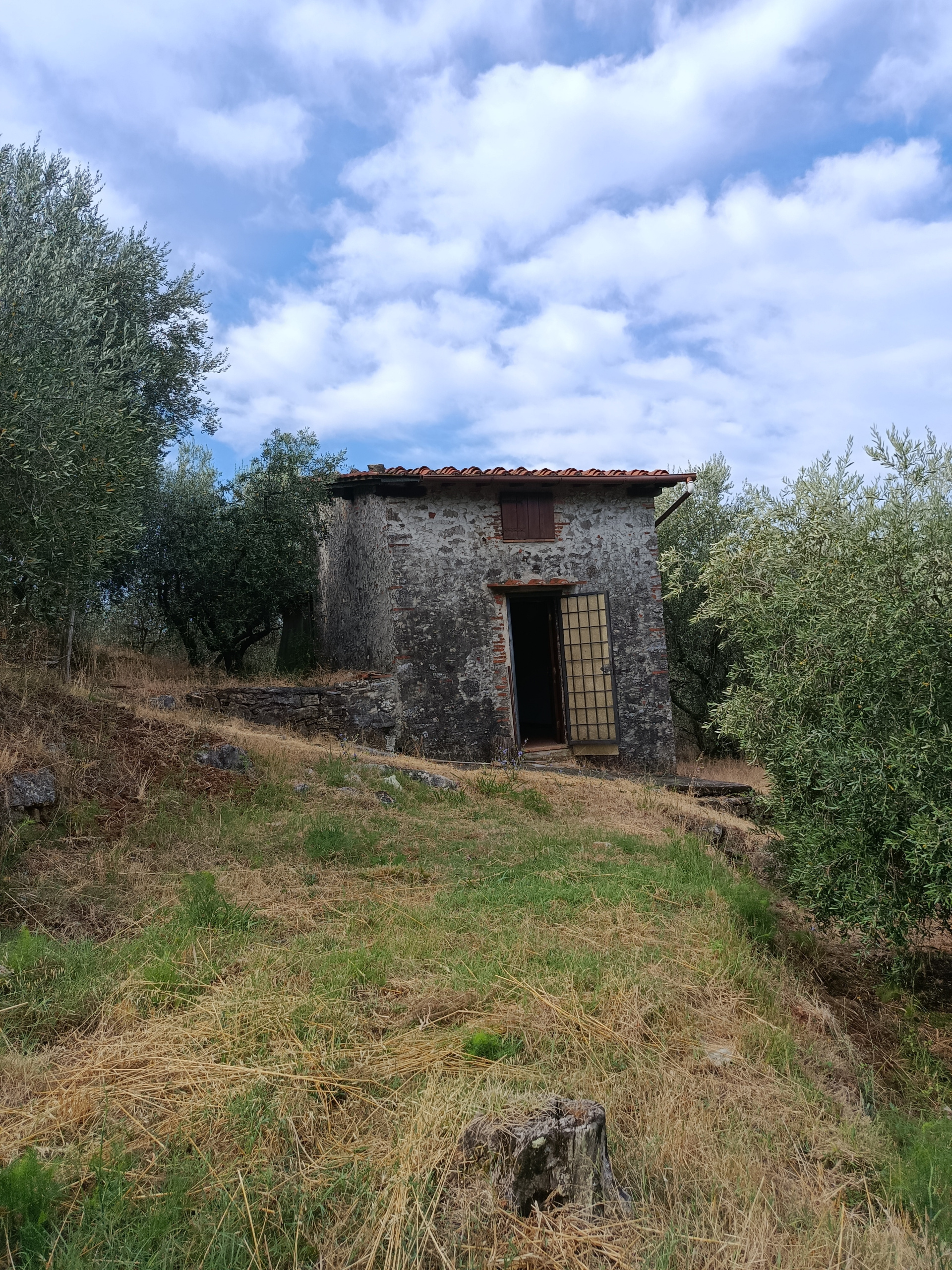 Rustico con giardino, Massarosa massaciuccoli